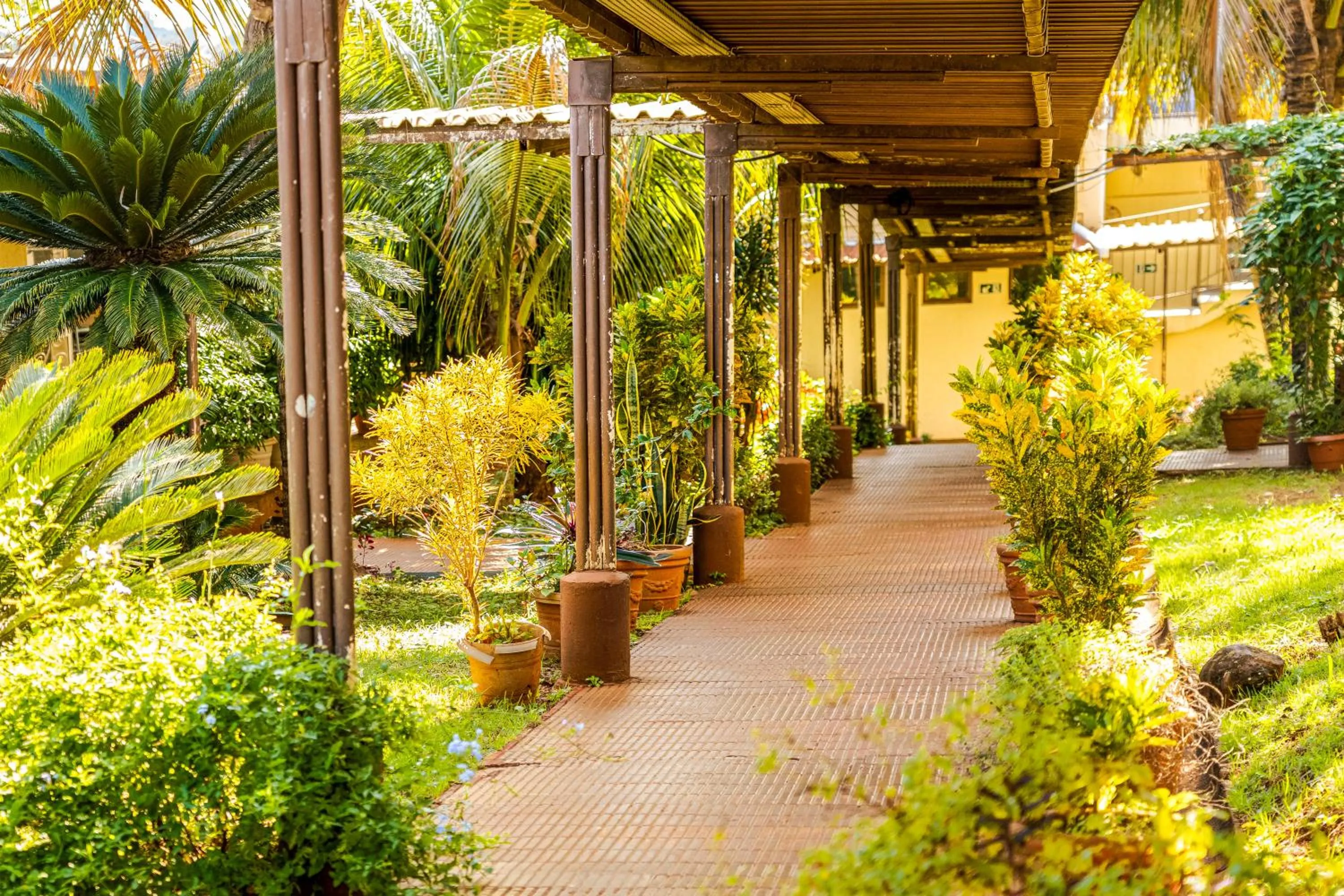 Day in VELINN Hotel Natureza Foz