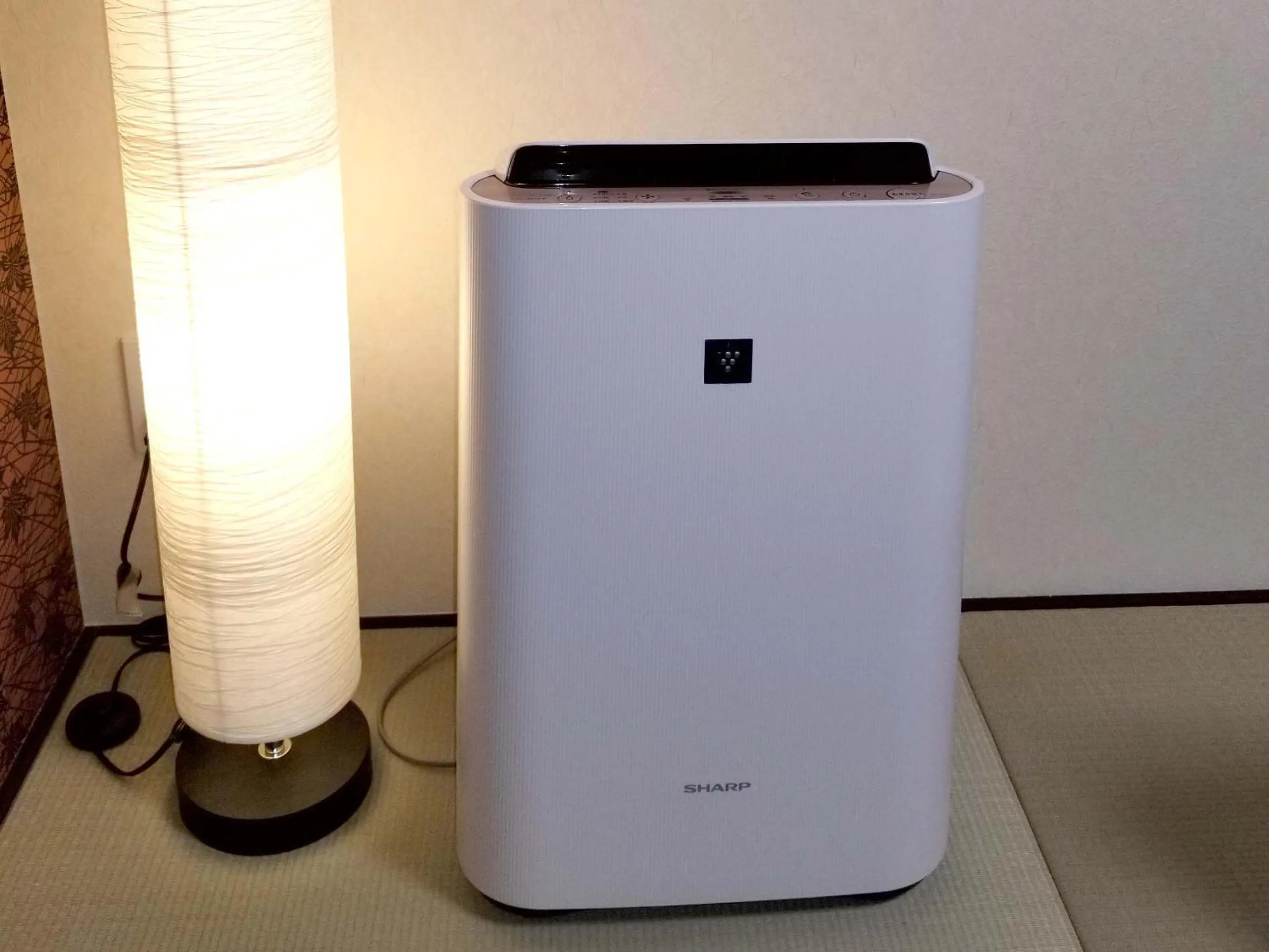 Living room in Kyo no yado BOTAN