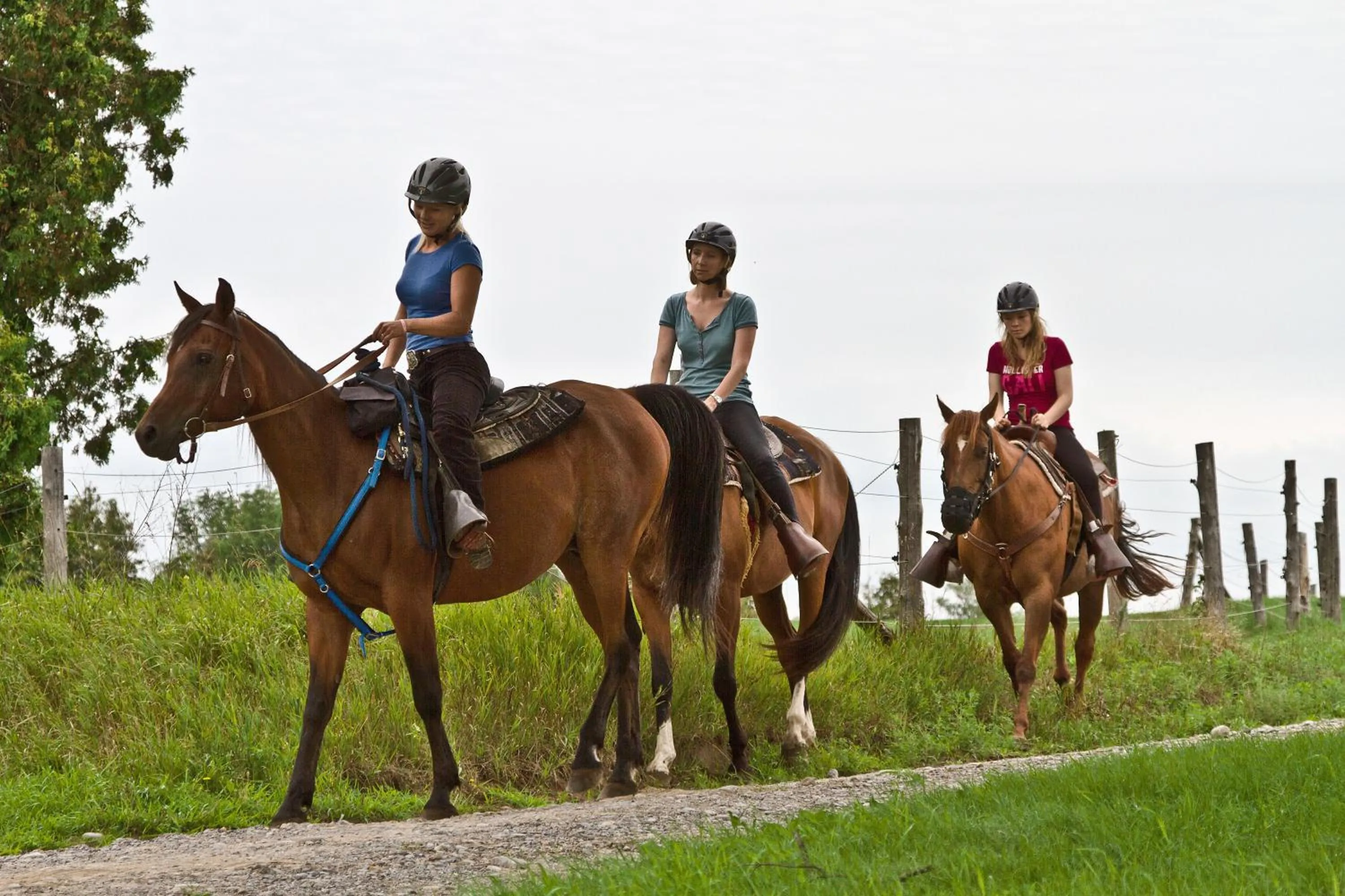 Horse-riding in Elmhirst's Resort