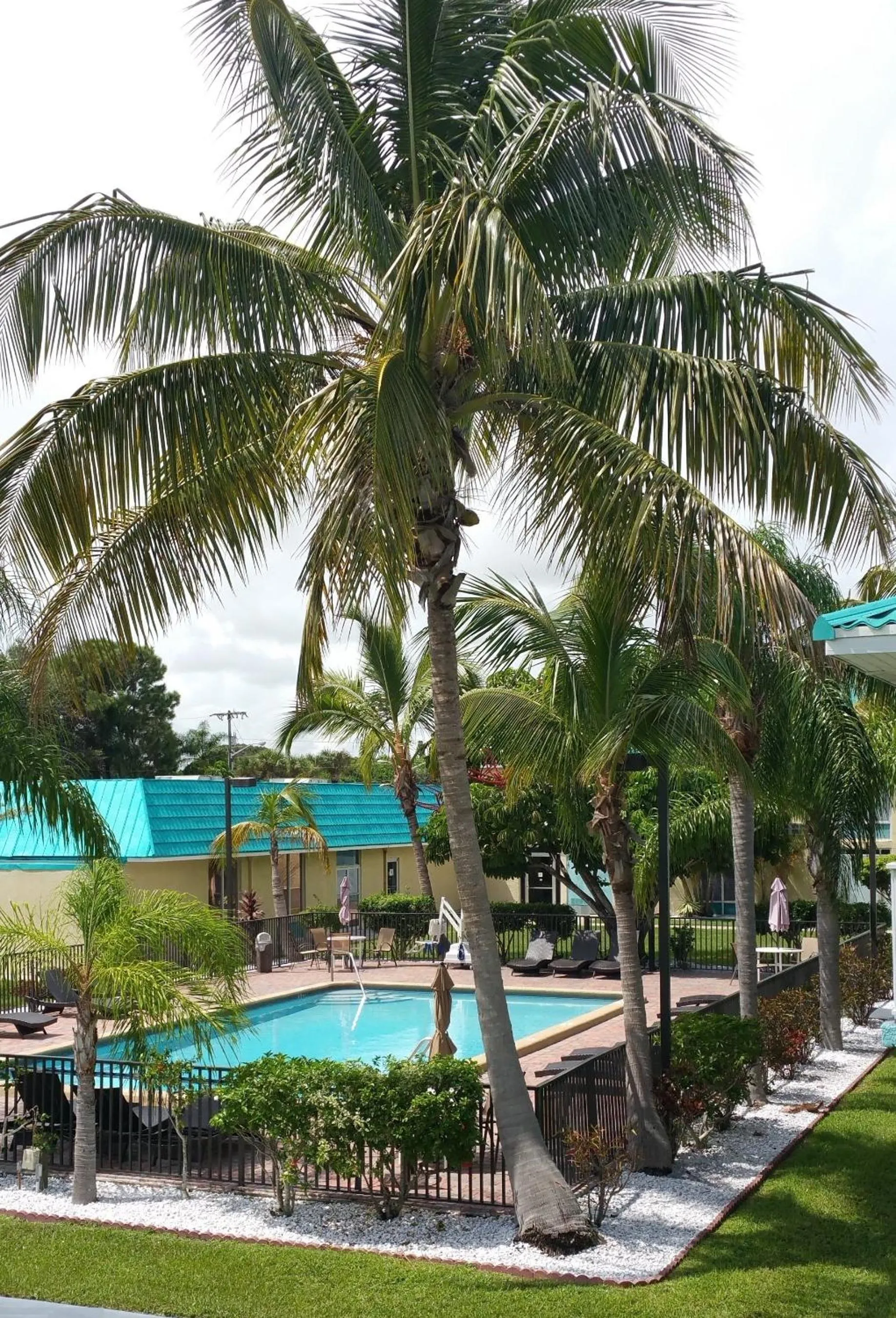 Swimming pool in Days Inn & Suites by Wyndham Fort Pierce Midtown