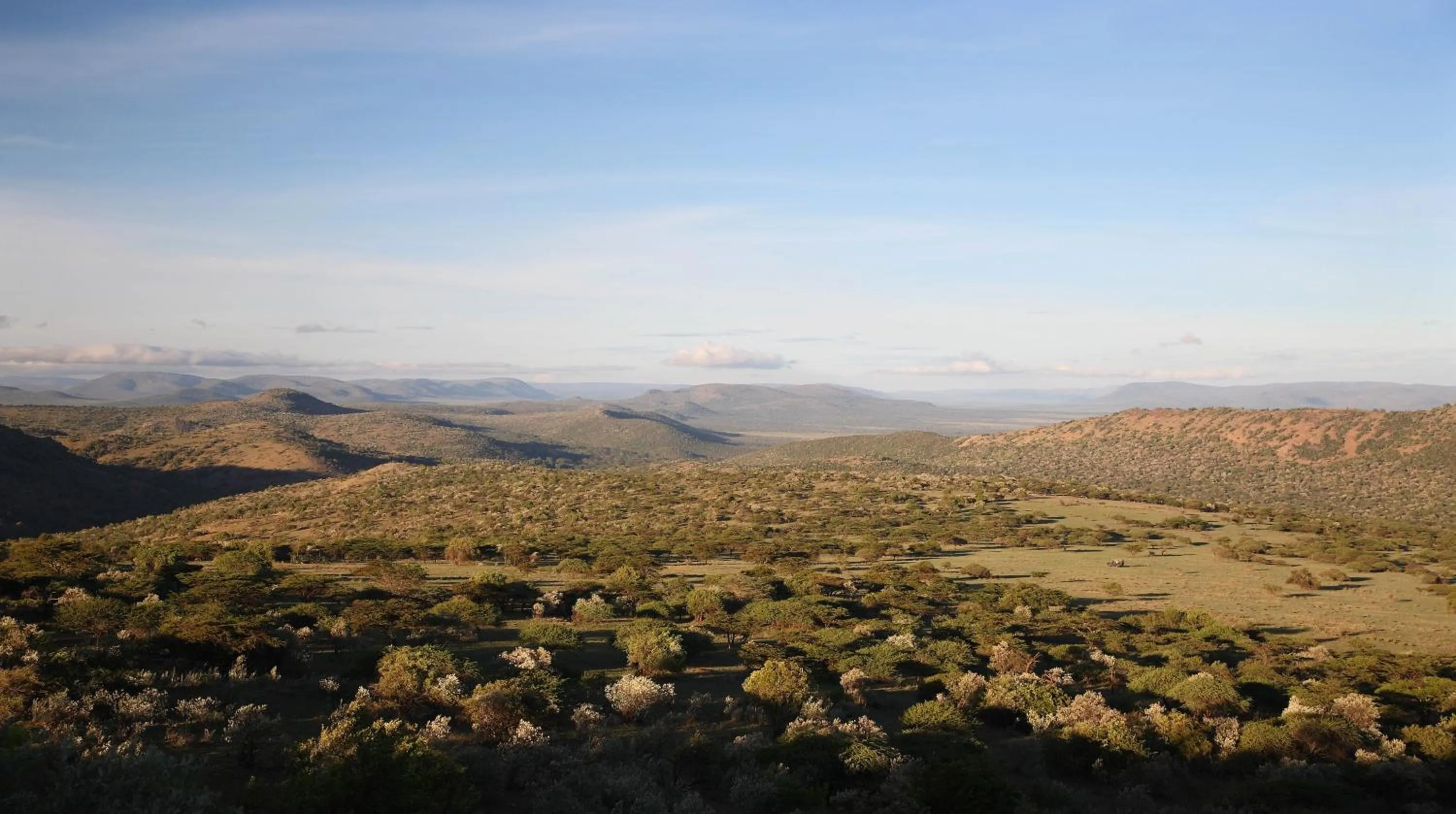 Natural landscape in Olarro Plains