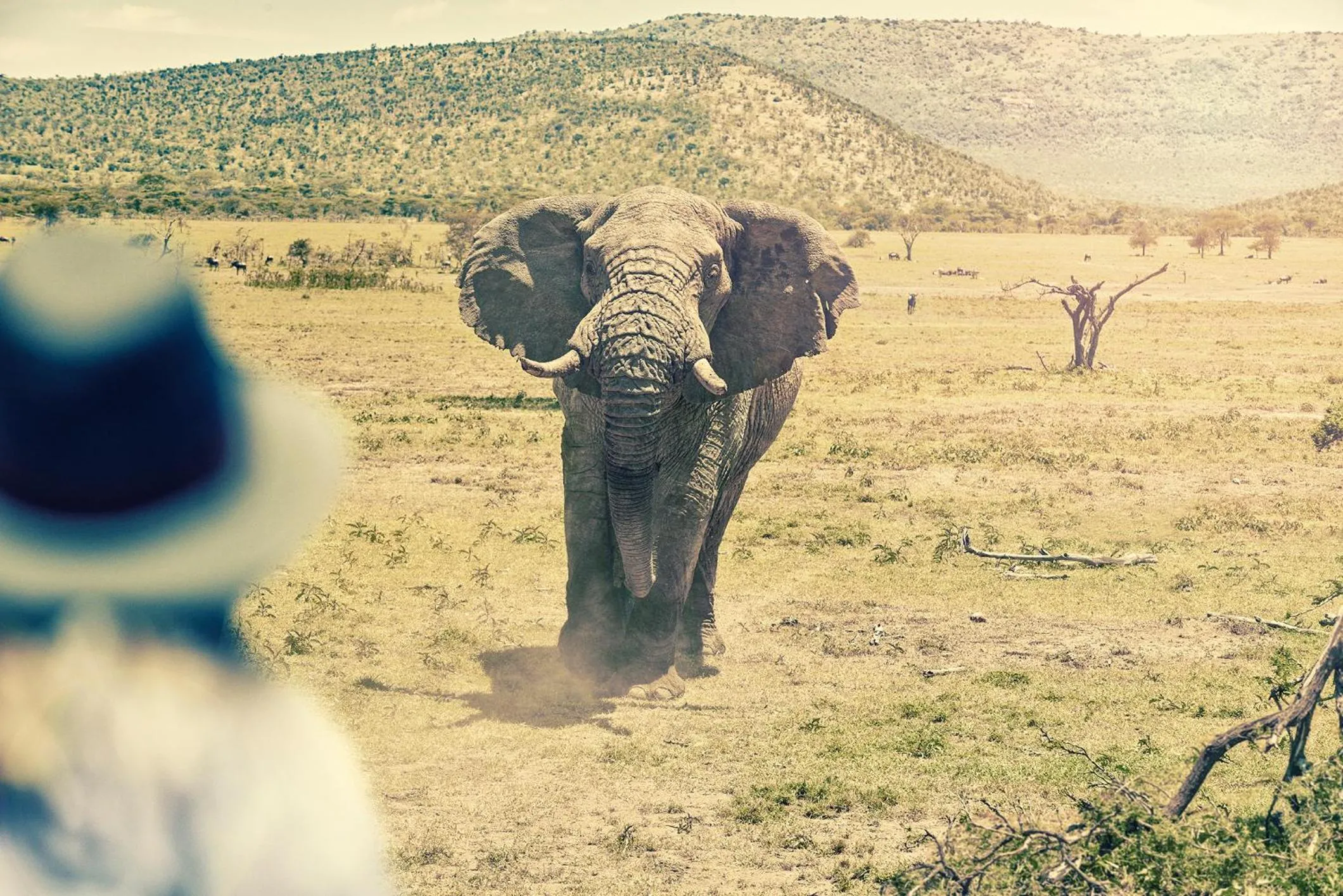 Activities in Olarro Plains