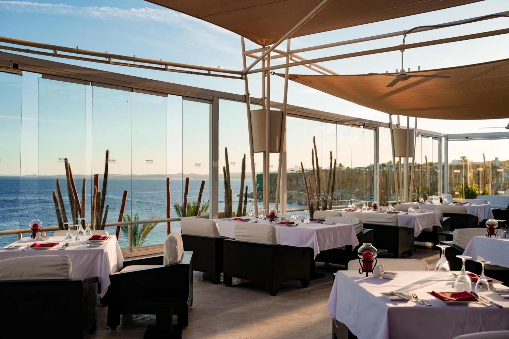 Balcony/Terrace in Sentido Reef Oasis Aqua Park Resort