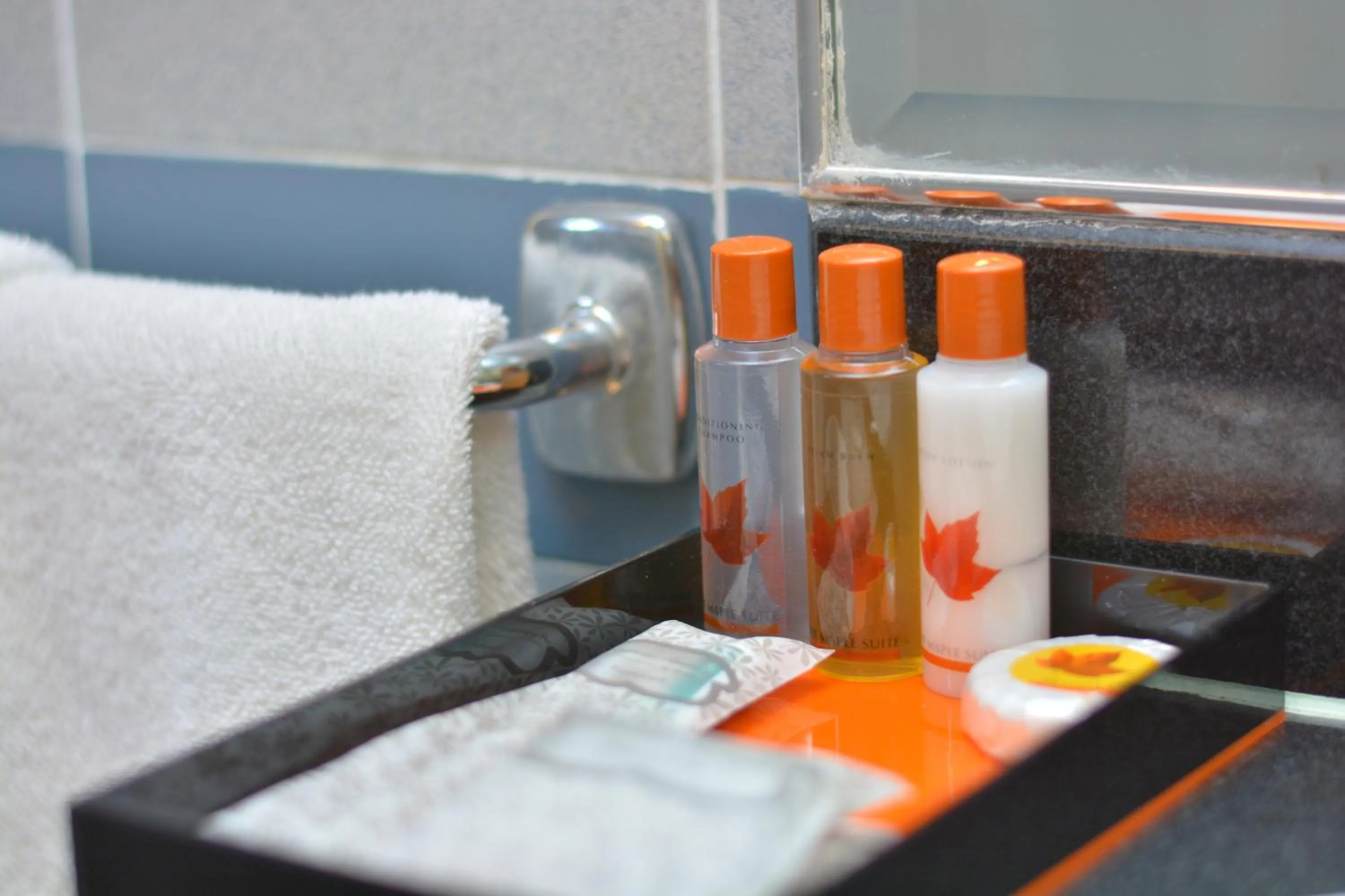 Bathroom in The Maple Suite