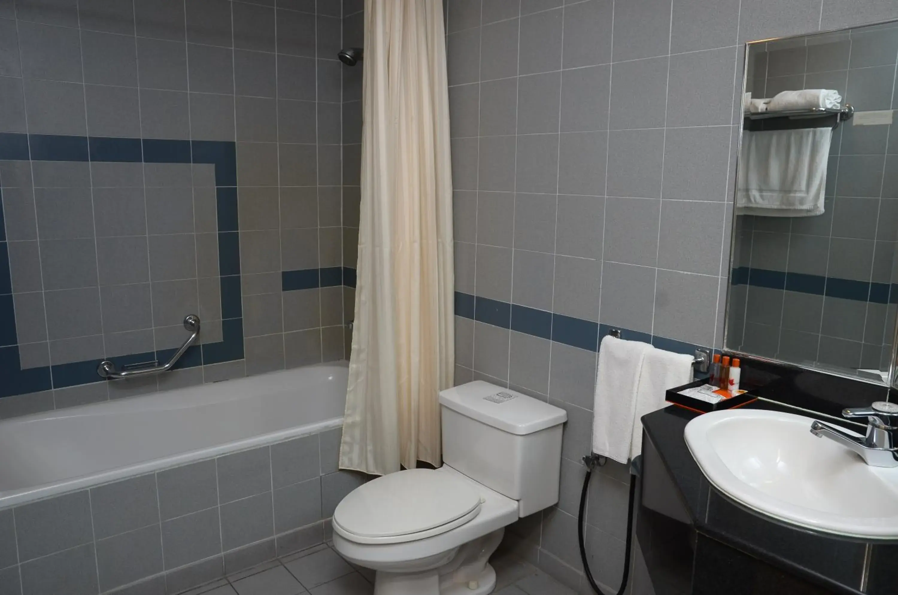 Deluxe One-Bedroom Apartment in The Maple Suite Deluxe One-Bedroom Apartment in The Maple Suite