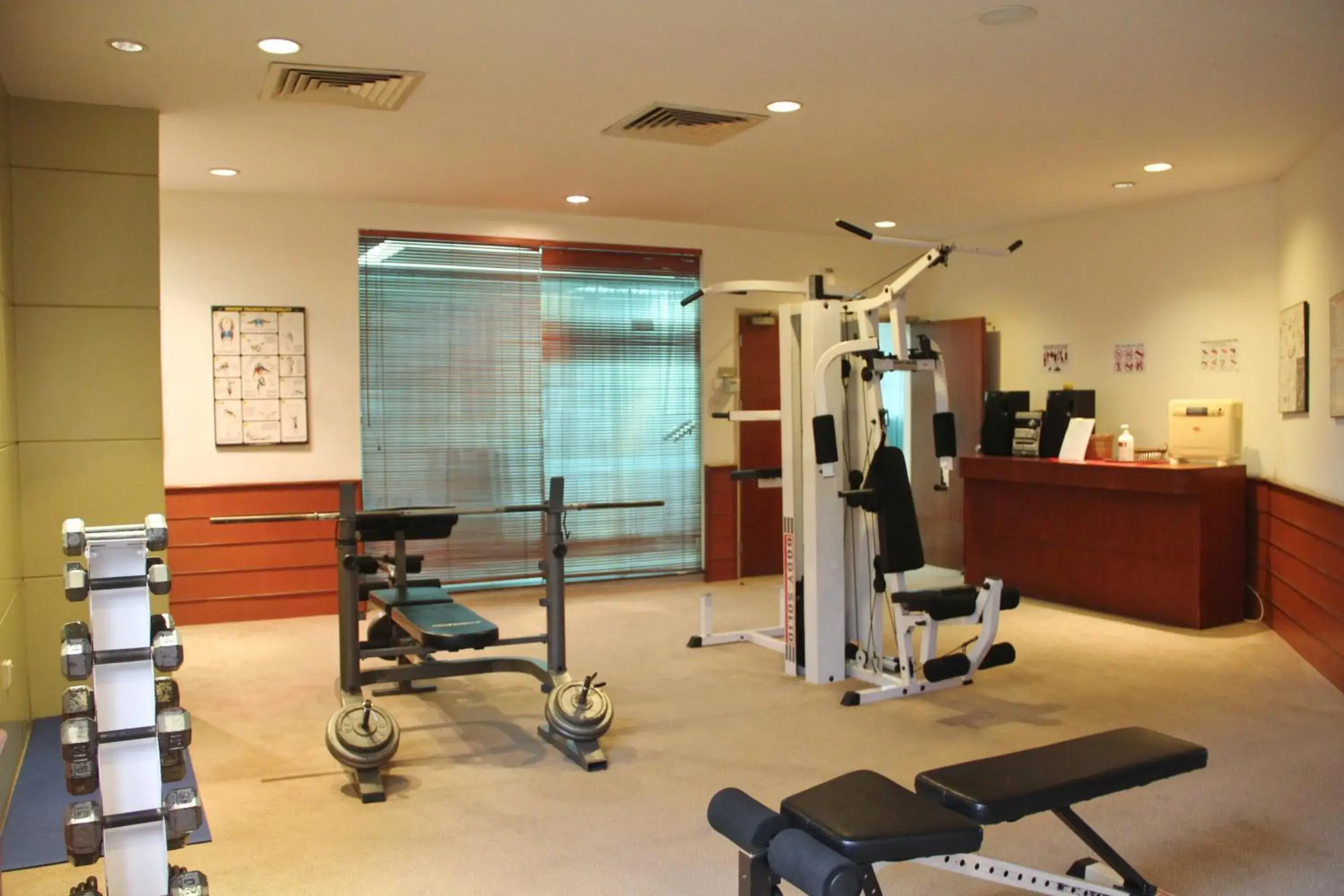Fitness centre/facilities in The Maple Suite Fitness centre/facilities in The Maple Suite