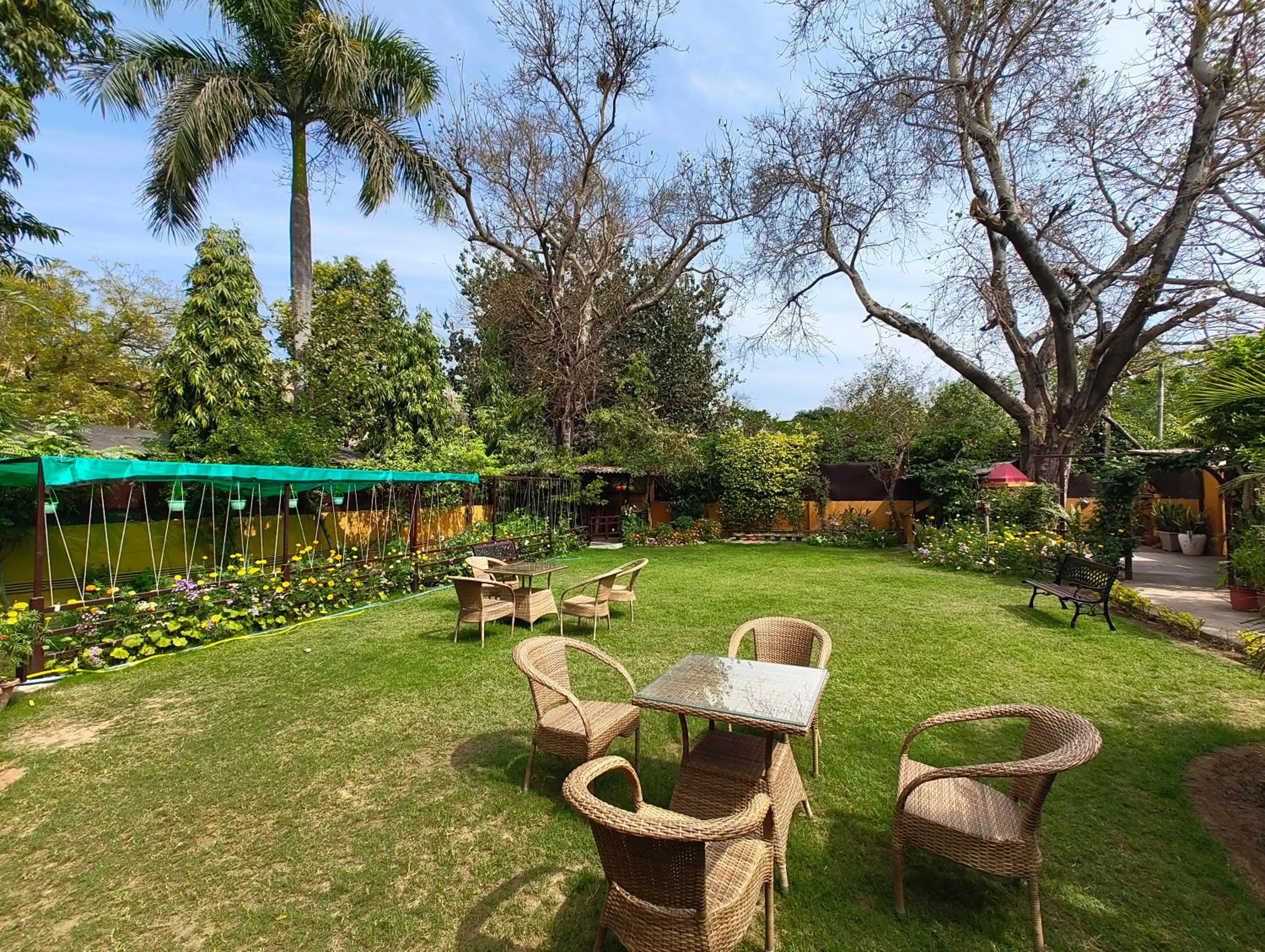Garden in Cp Villa - Rooms with Patio