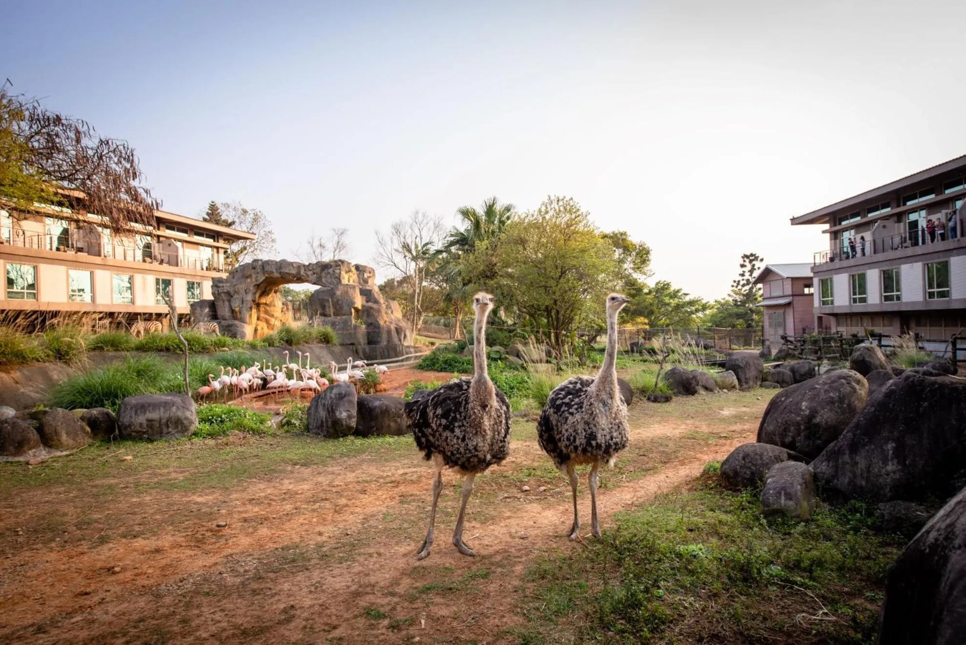 Garden view in Leofoo Resort Guanshi