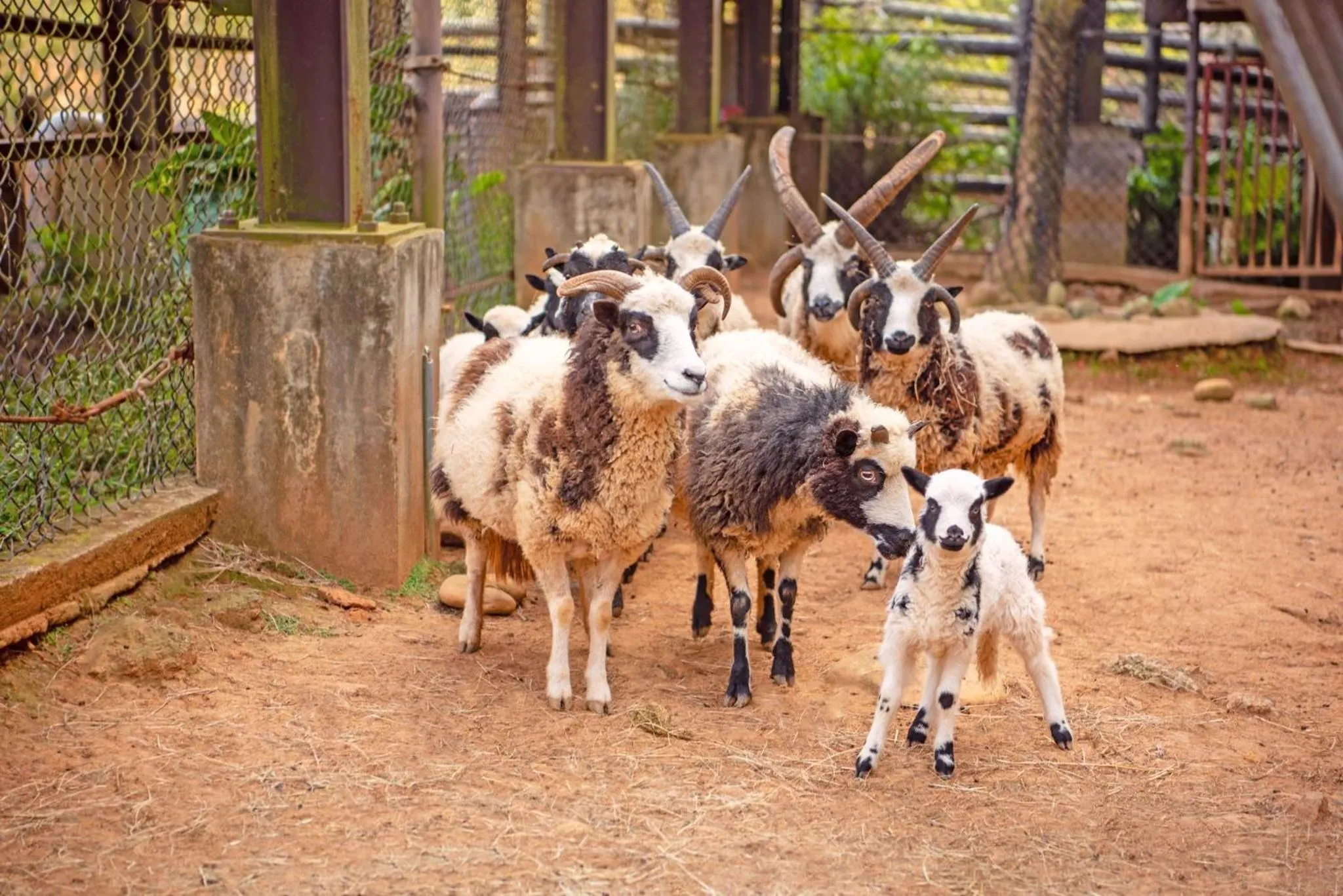 Garden view in Leofoo Resort Guanshi