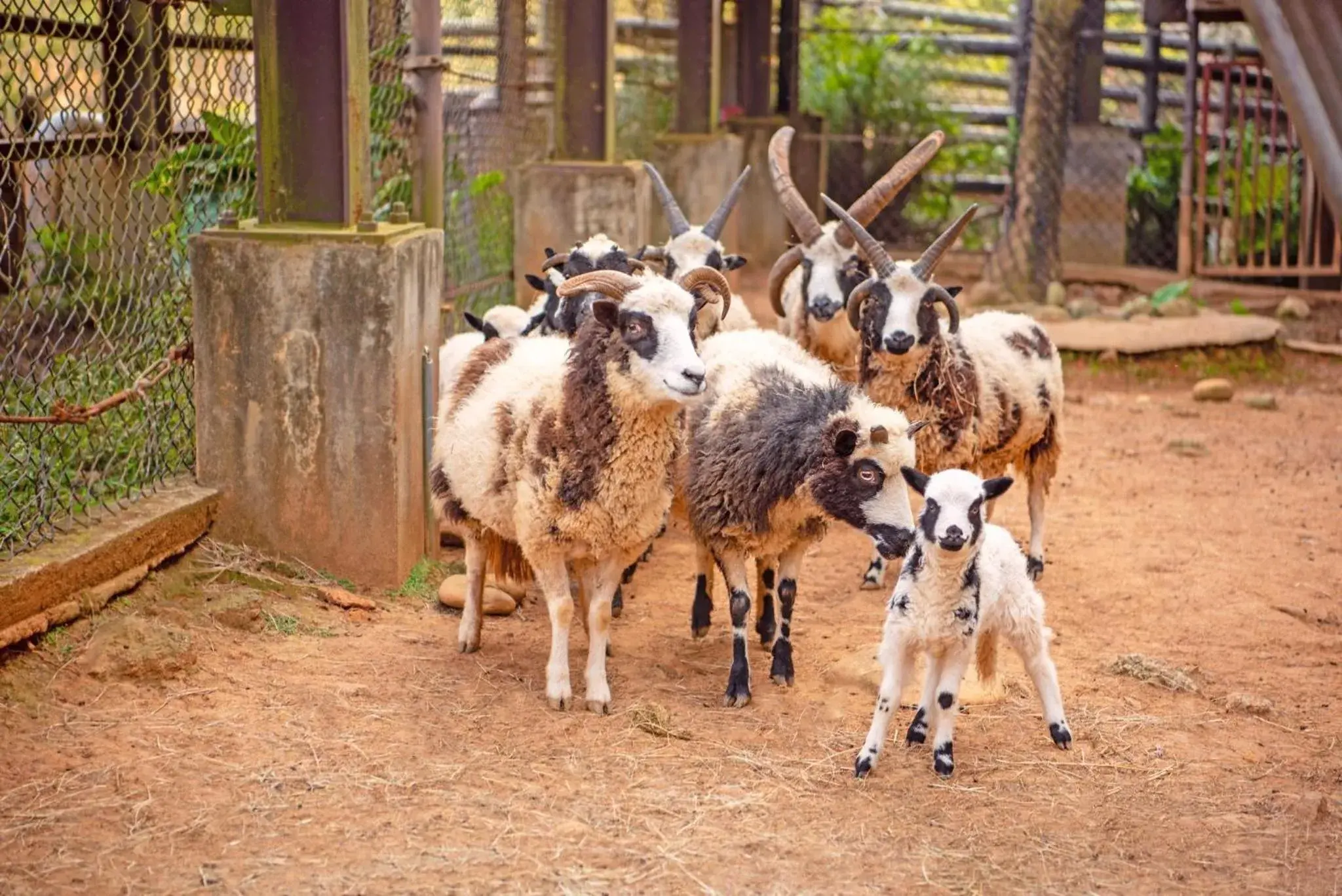 Garden view in Leofoo Resort Guanshi Garden view in Leofoo Resort Guanshi