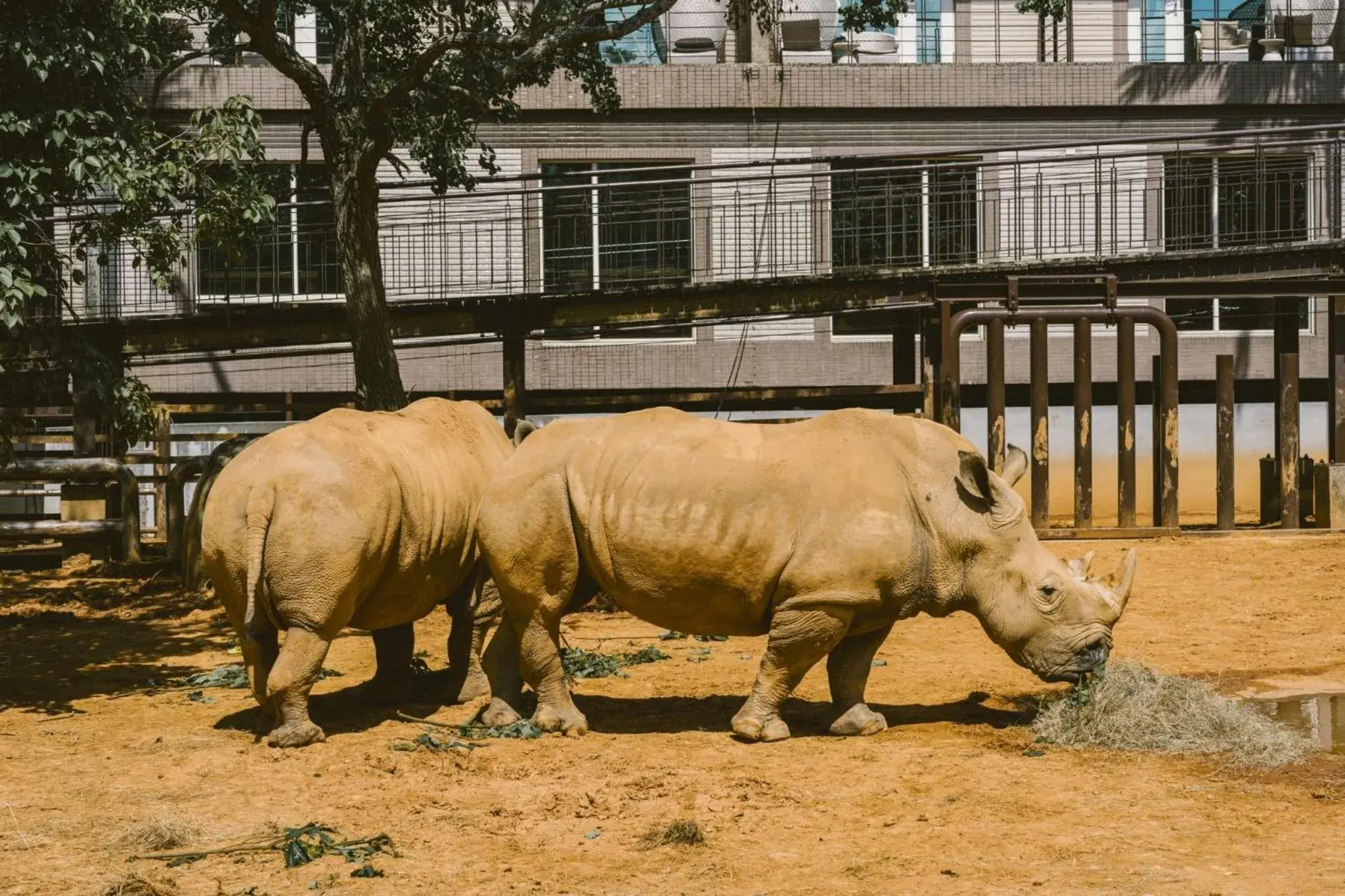 Garden view in Leofoo Resort Guanshi Garden view in Leofoo Resort Guanshi