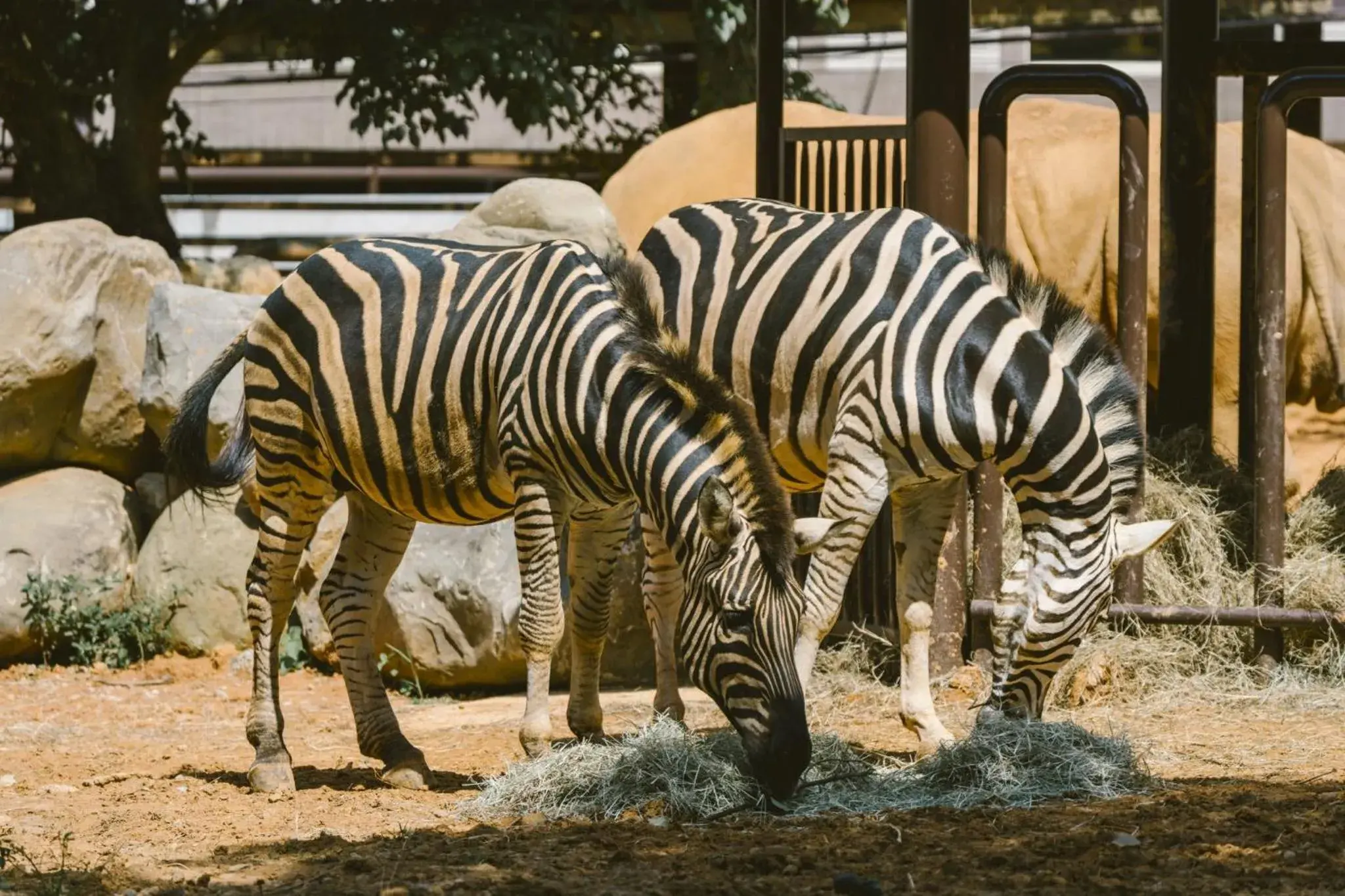 Garden view in Leofoo Resort Guanshi Garden view in Leofoo Resort Guanshi