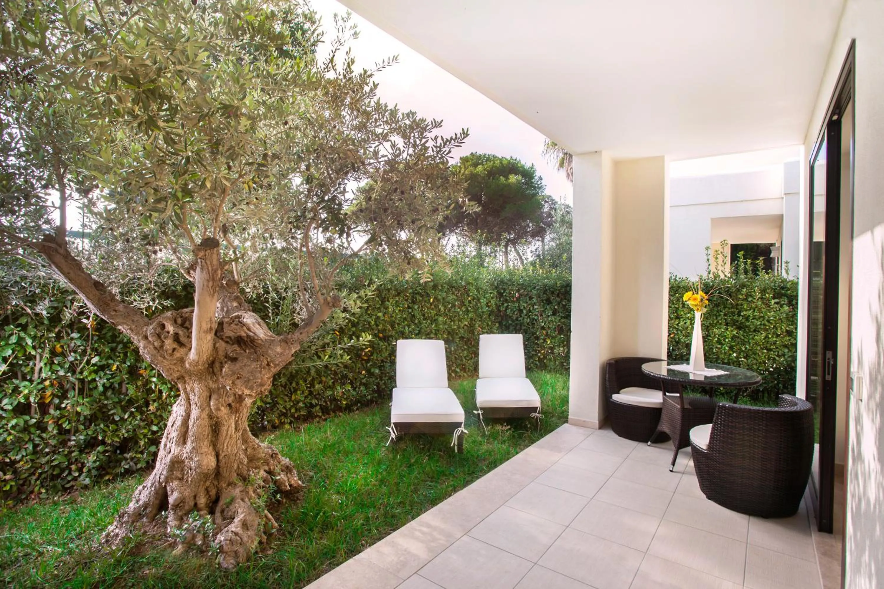 Patio in Green Paradise Resort