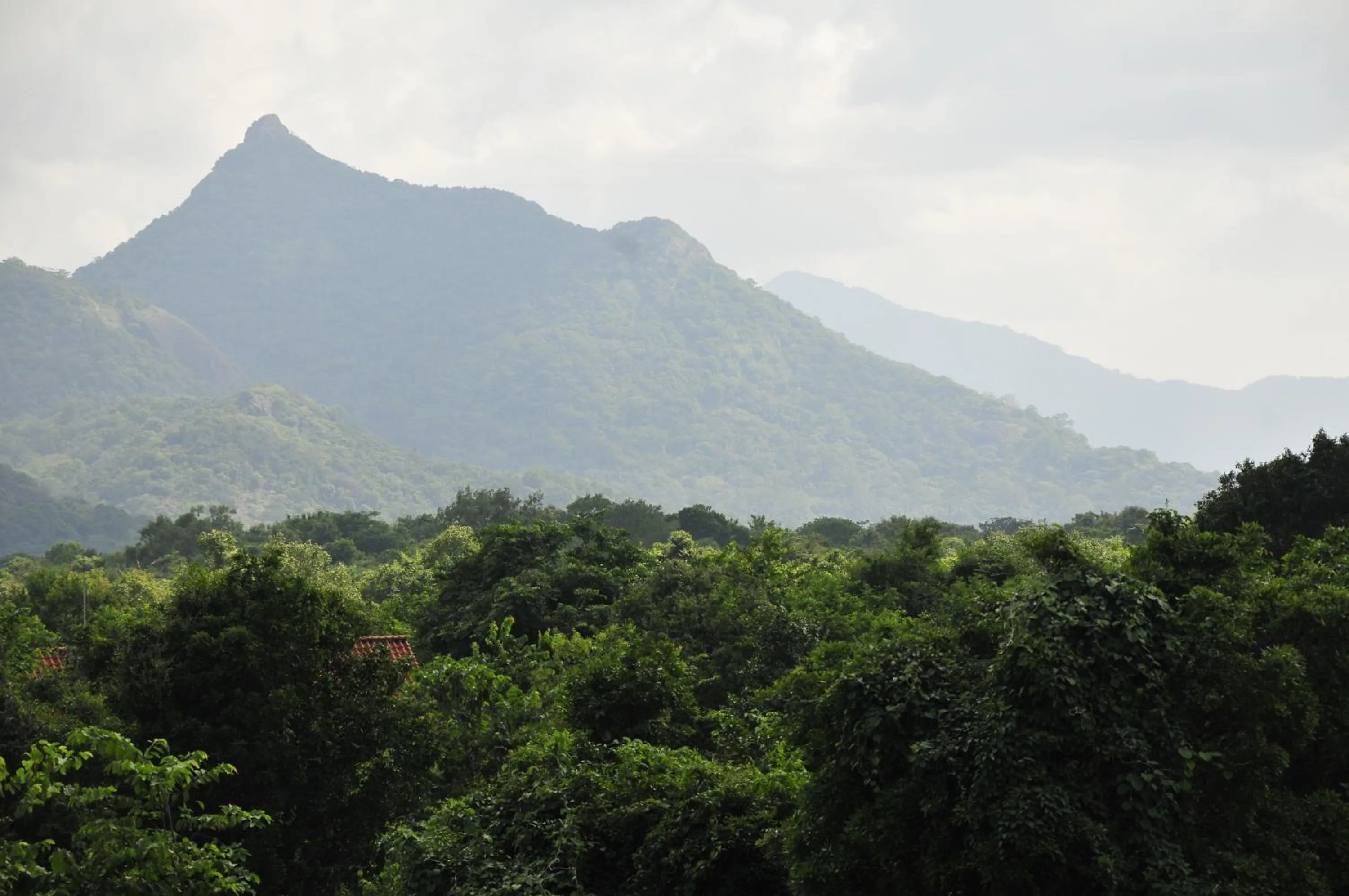 Natural landscape in Wild Grass Nature Resort