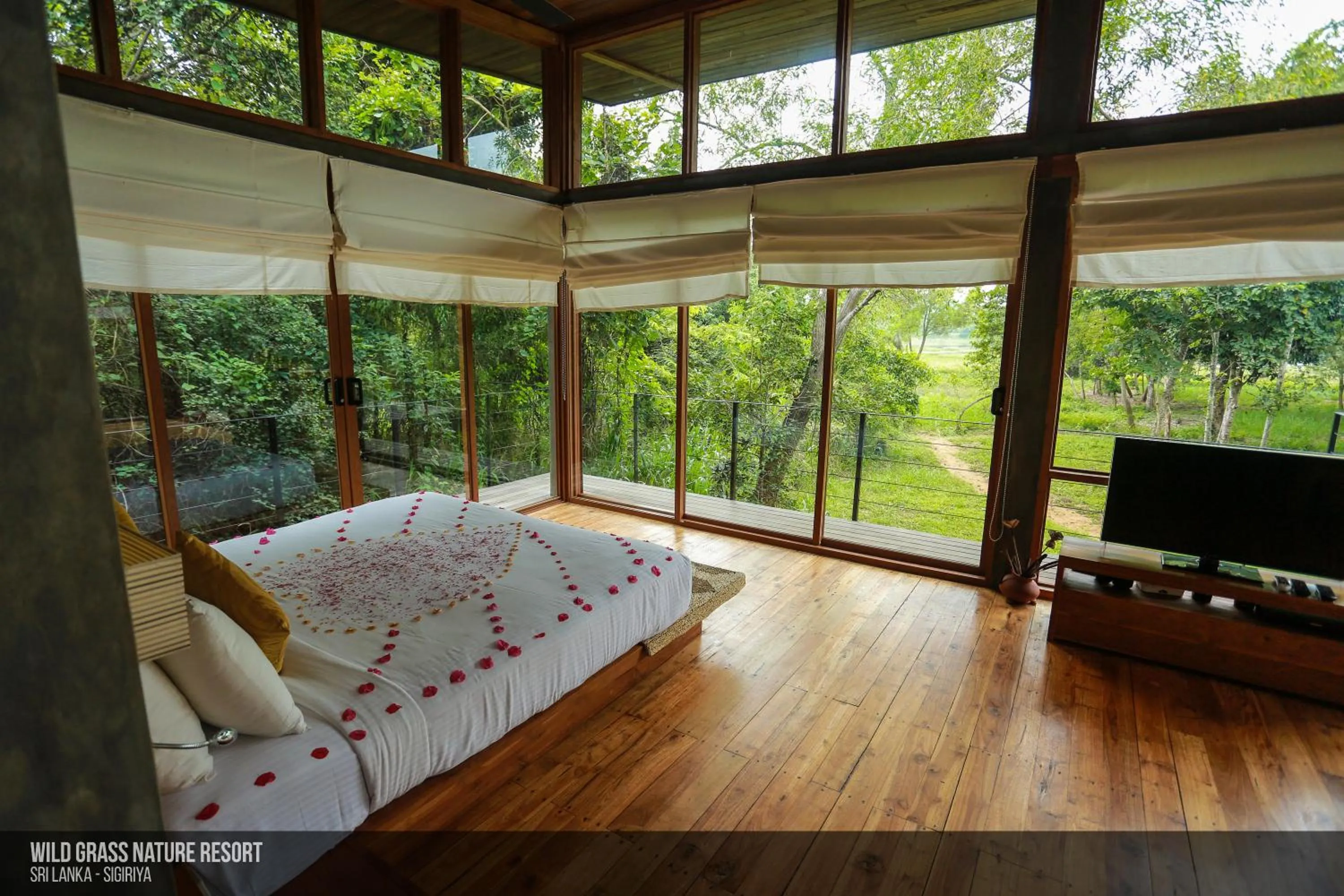 TV and multimedia in Wild Grass Nature Resort