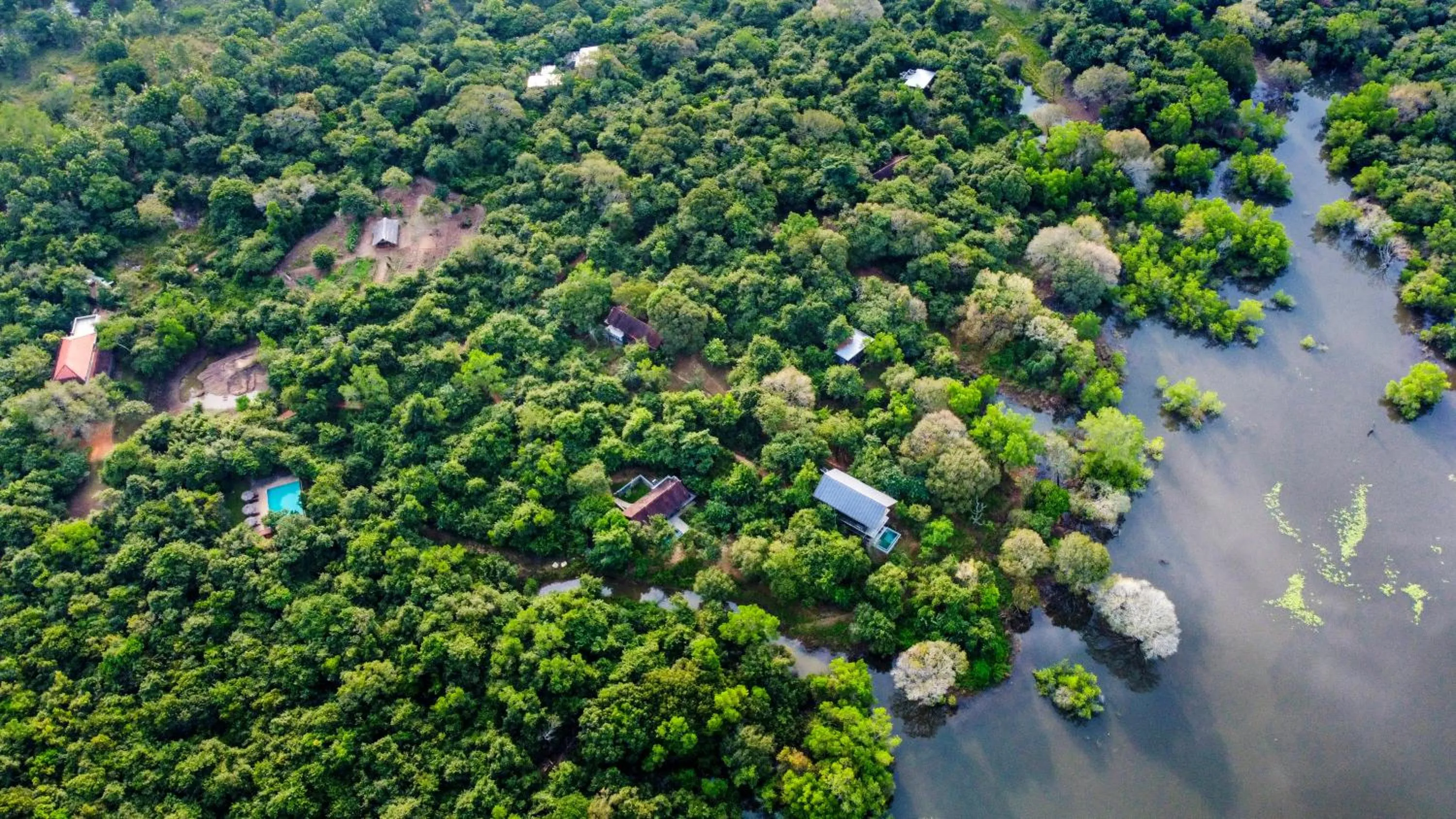 Property building in Wild Grass Nature Resort