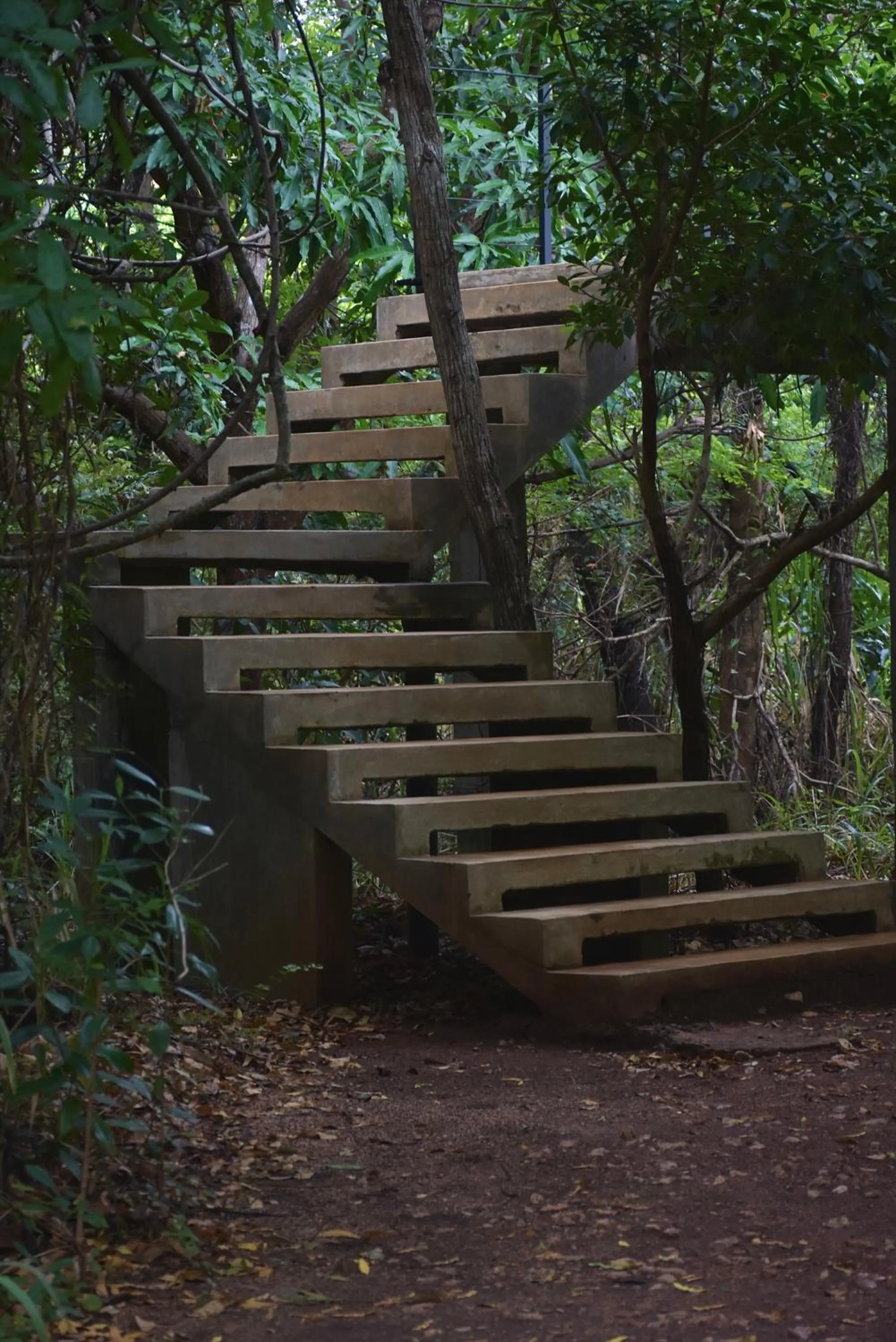 Facade/entrance in Wild Grass Nature Resort
