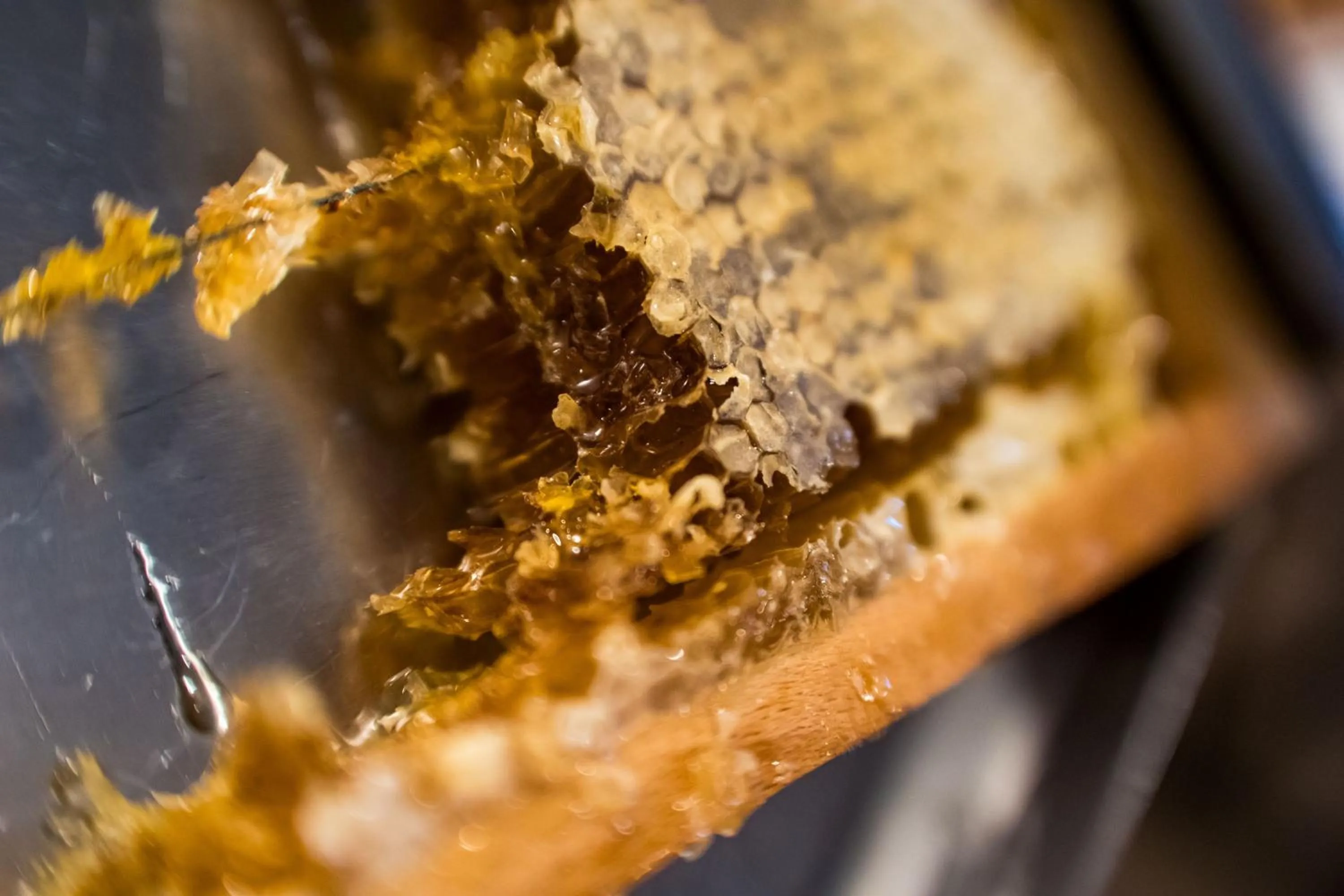 Buffet breakfast in Hotel Kuźnia Napoleońska