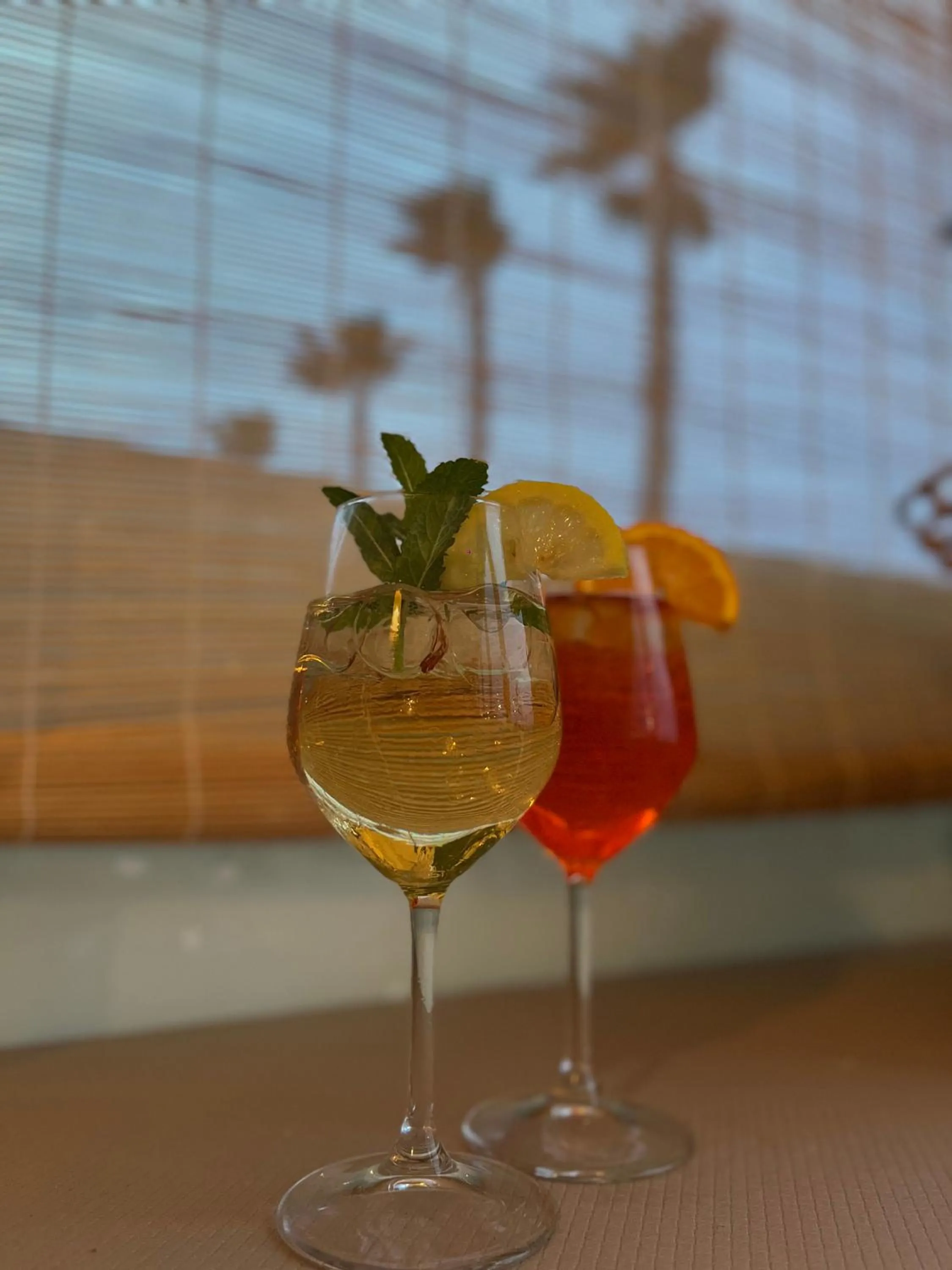 Food and drinks in Hotel Silva Frontemare