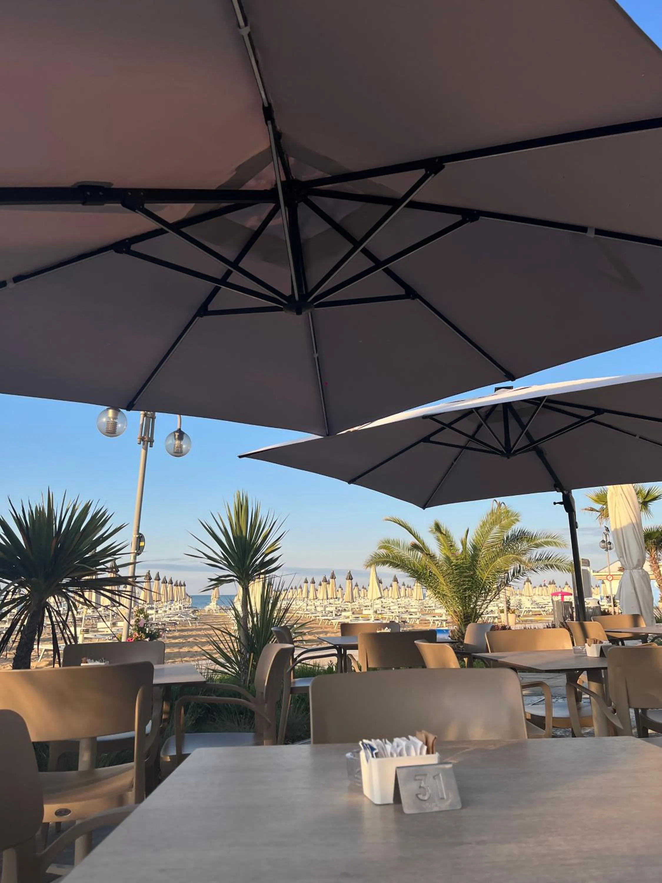 Sea view in Hotel Silva Frontemare