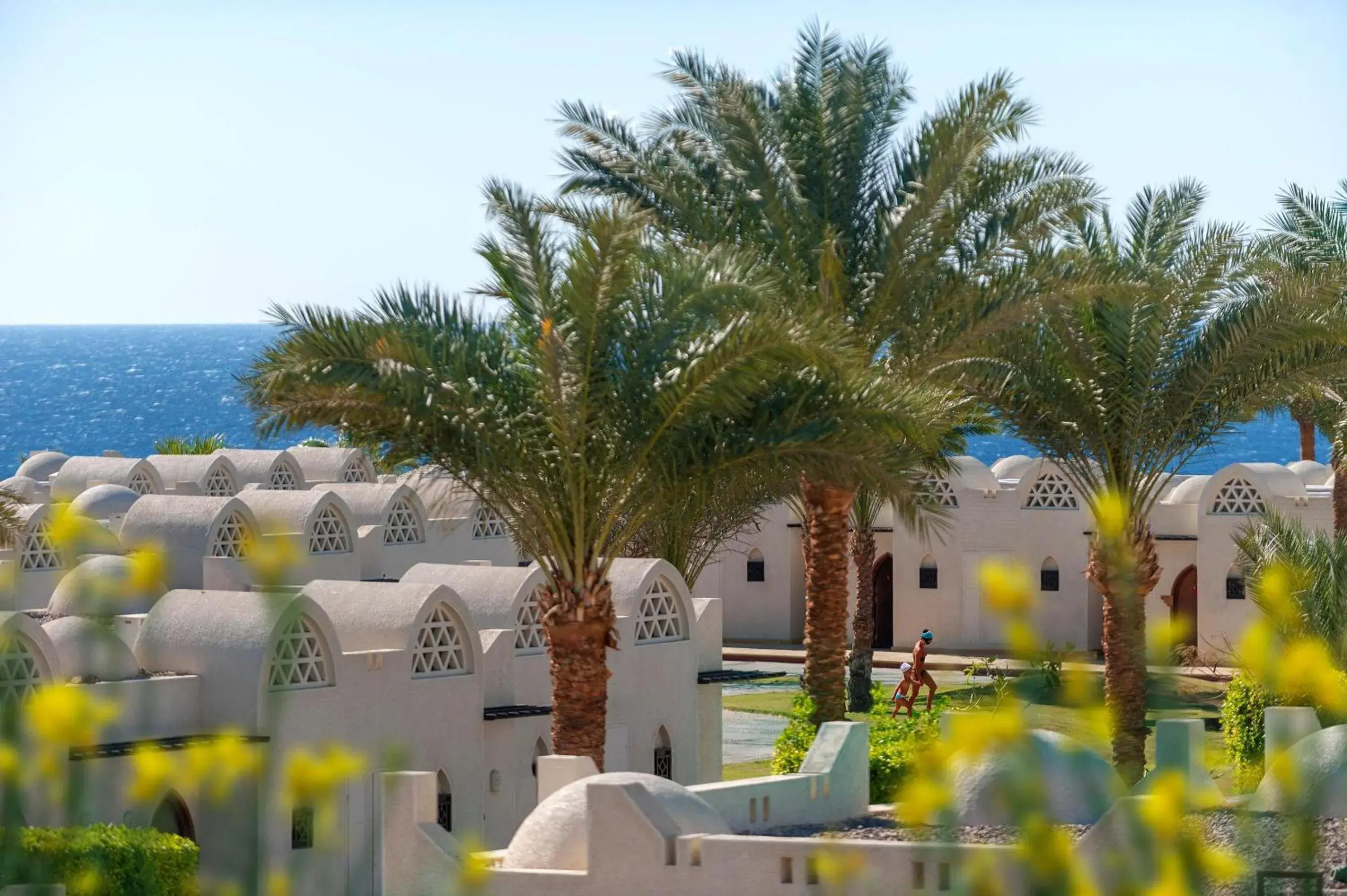 Property building in Reef Oasis Beach Aqua Park Resort Property building in Reef Oasis Beach Aqua Park Resort