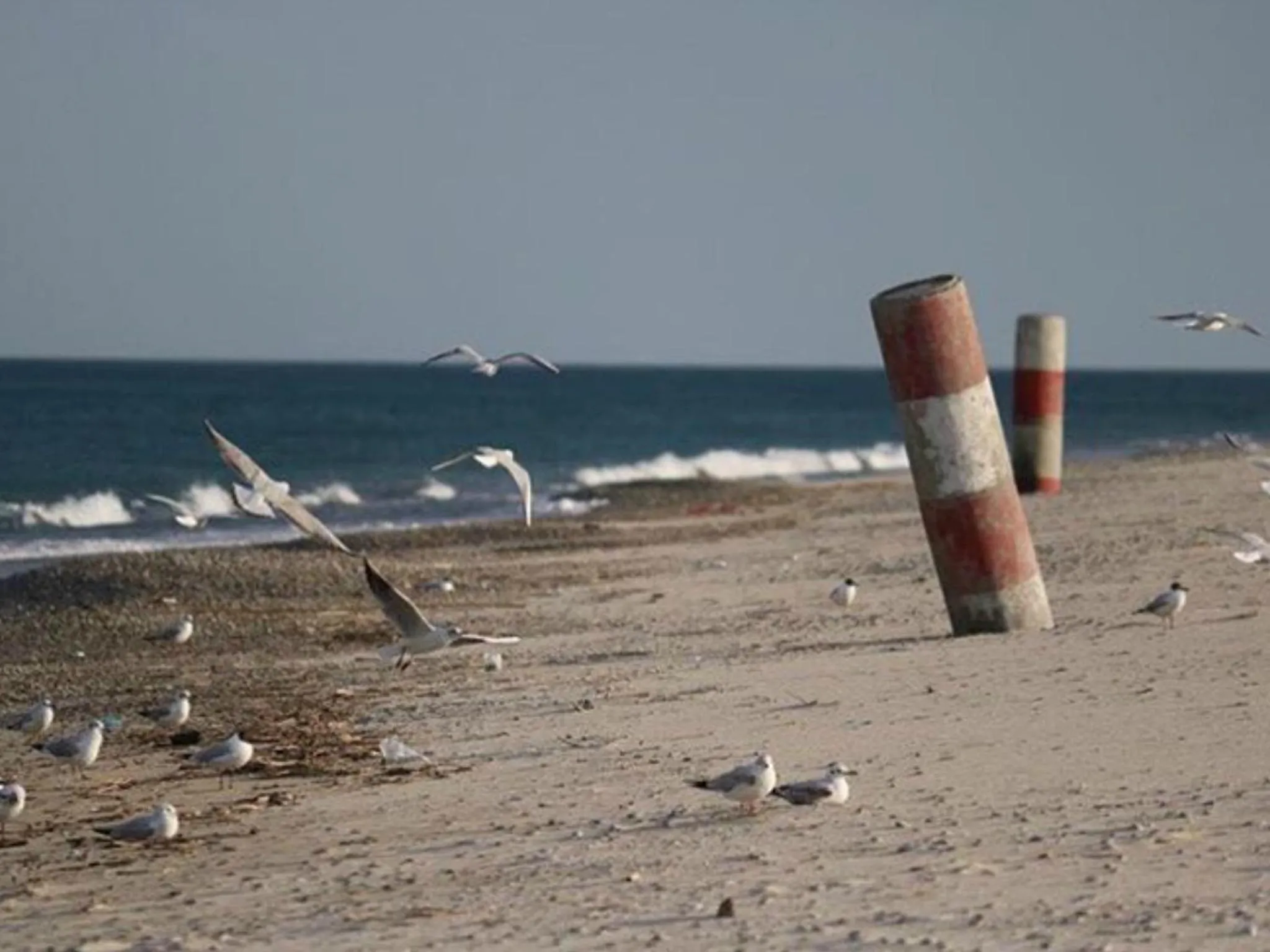 Natural landscape in Hotel Gli Ulivi