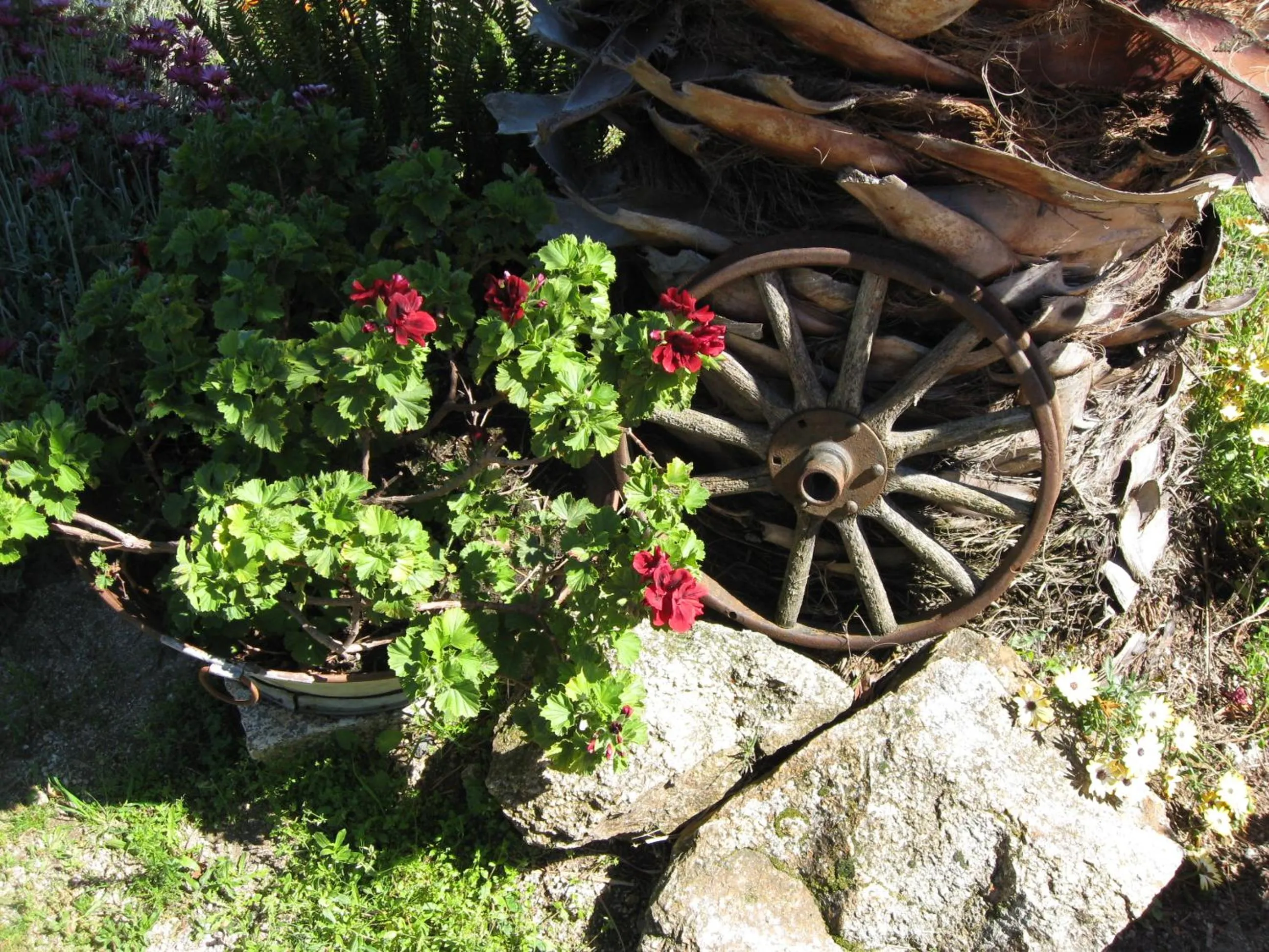 Casa "Quinta Souto da Ordem"