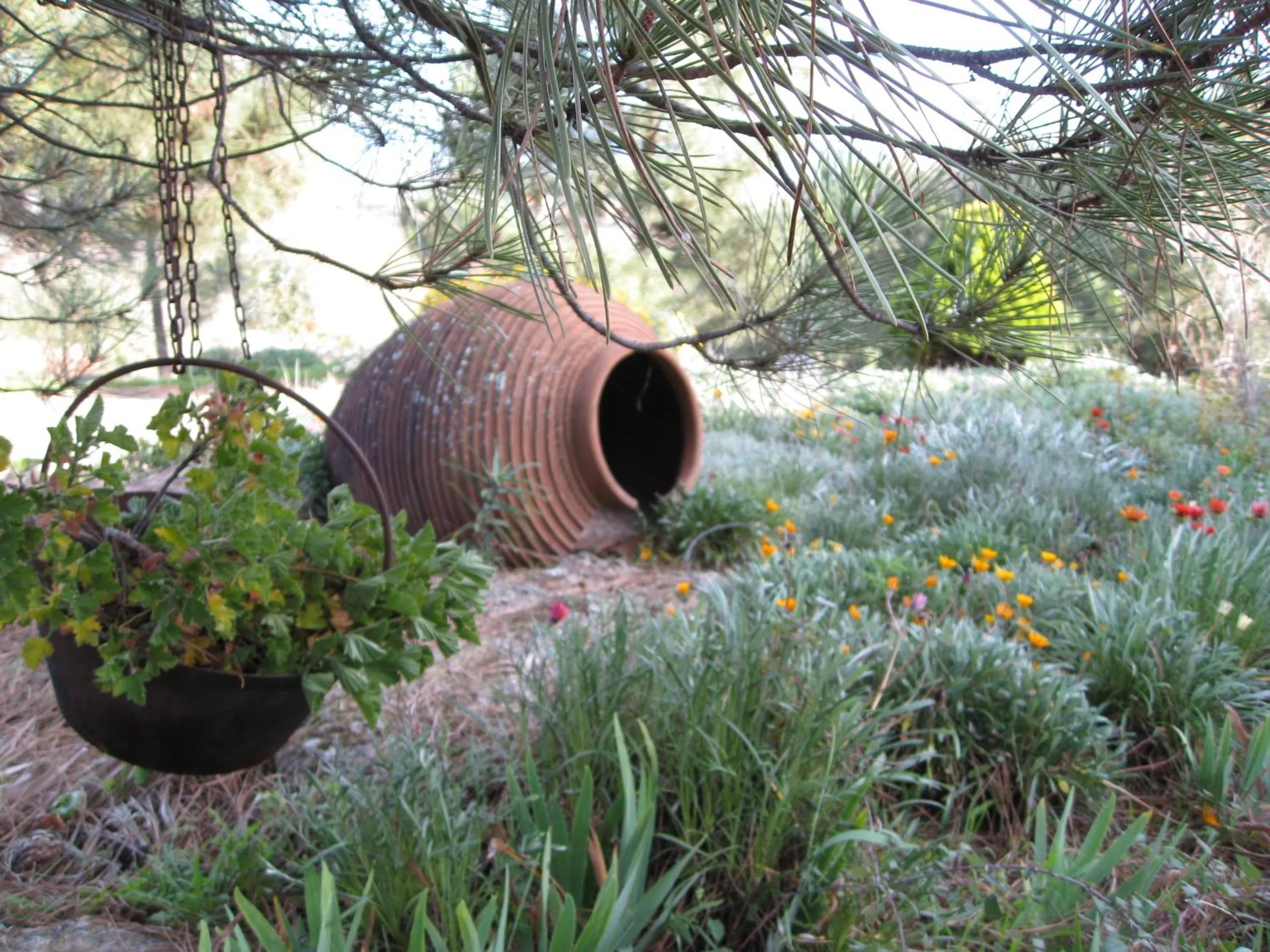 Casa "Quinta Souto da Ordem"