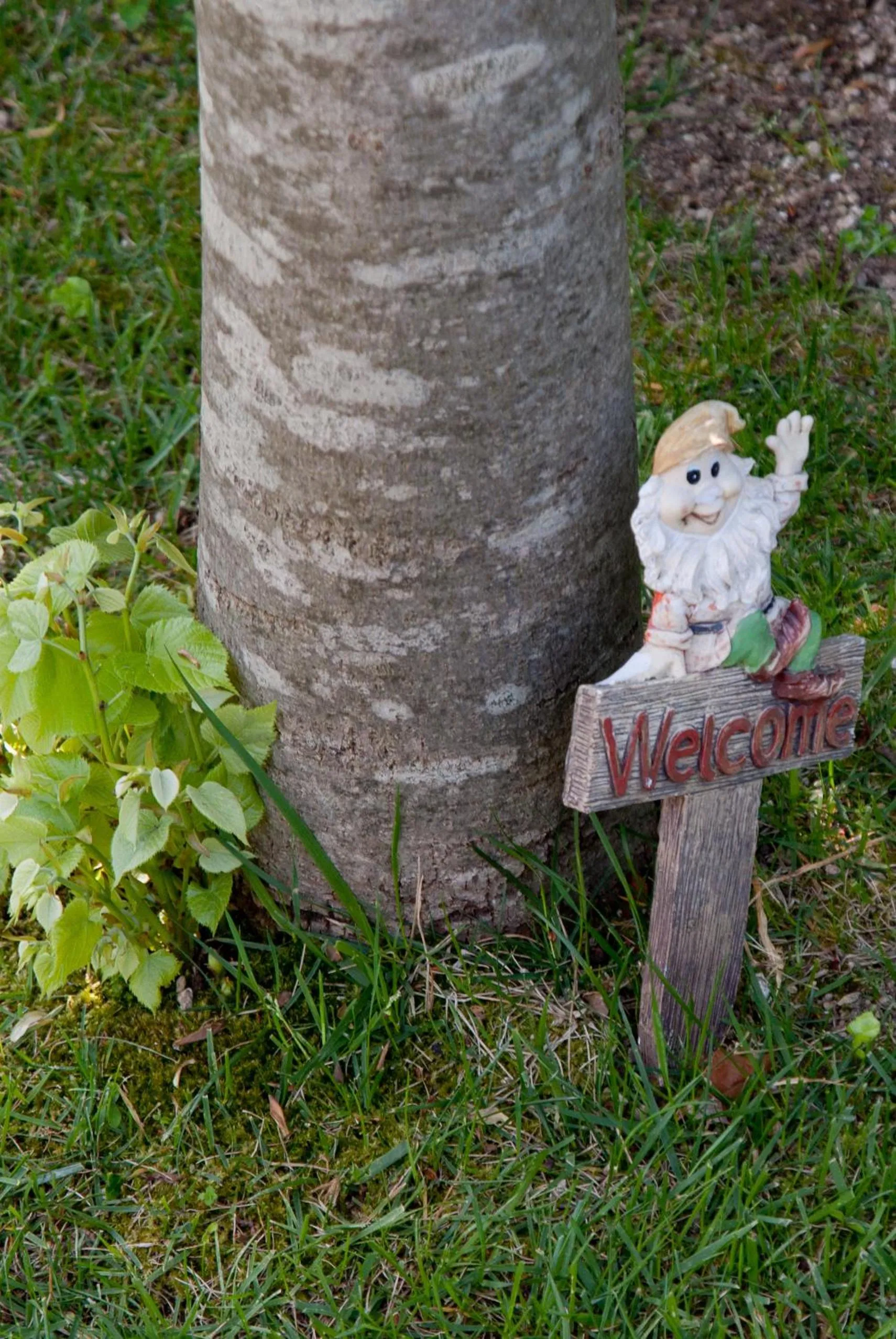 Garden in Il Roseto B&B