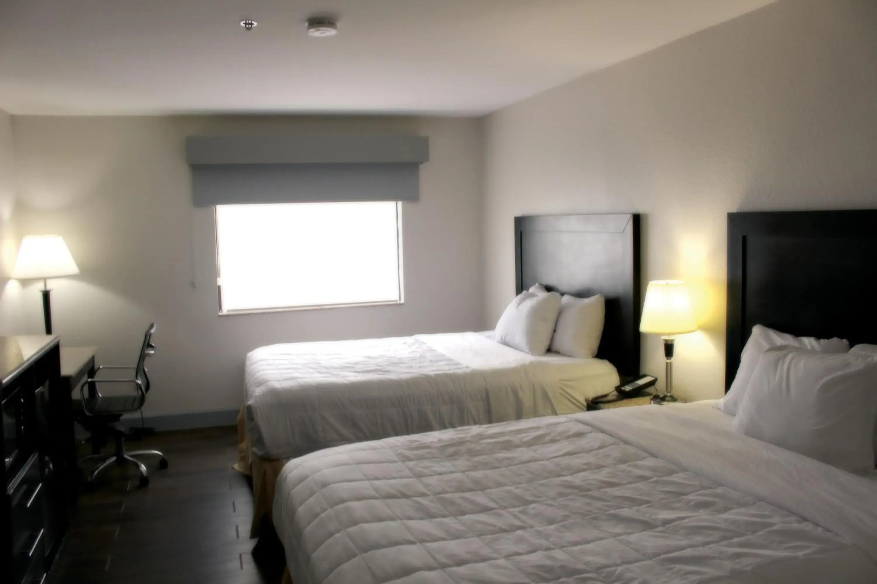 Bed in Baymont by Wyndham Del Rio Bed in Baymont by Wyndham Del Rio