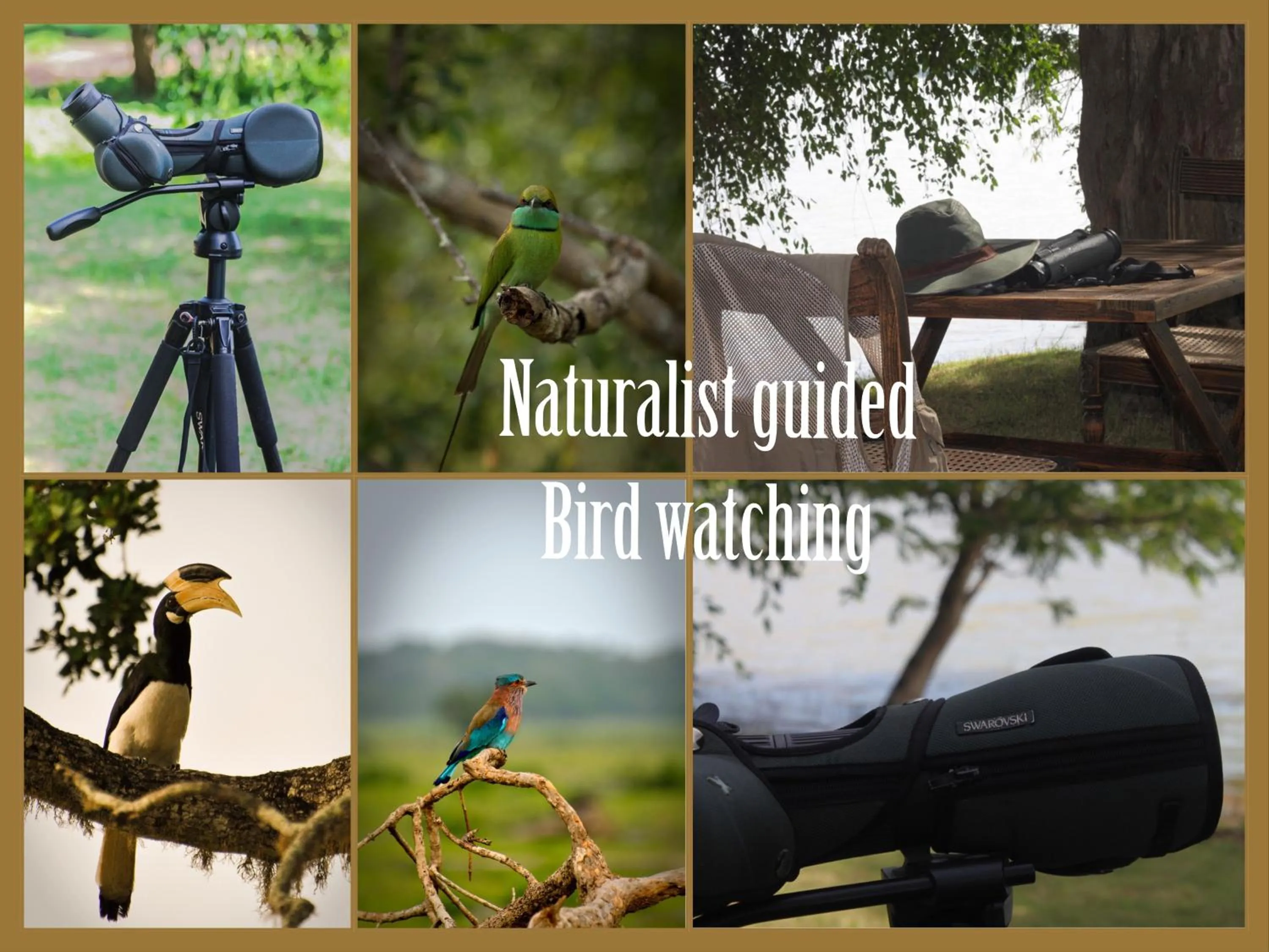 Activities in Flameback Eco Lodge