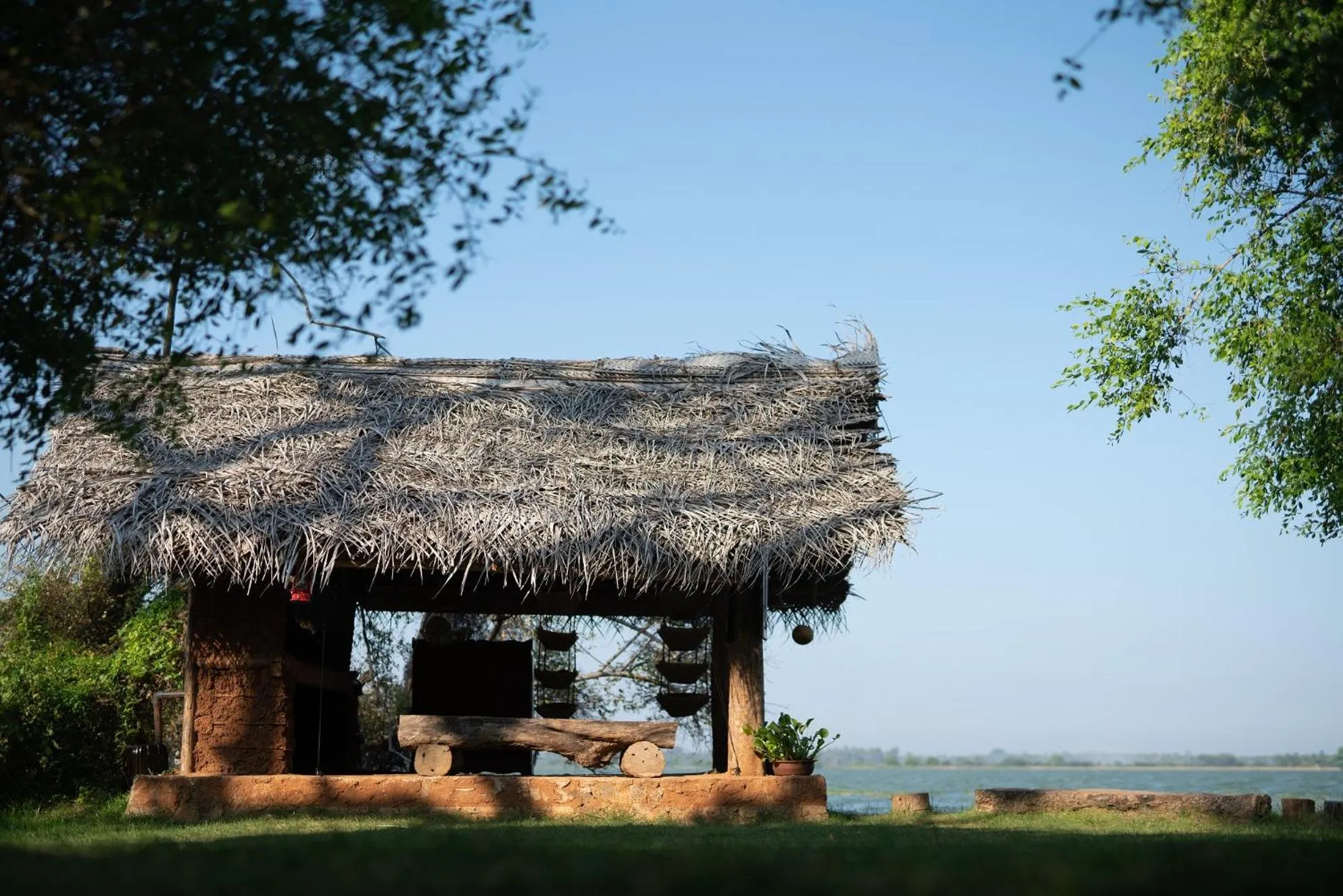 Garden in Flameback Eco Lodge