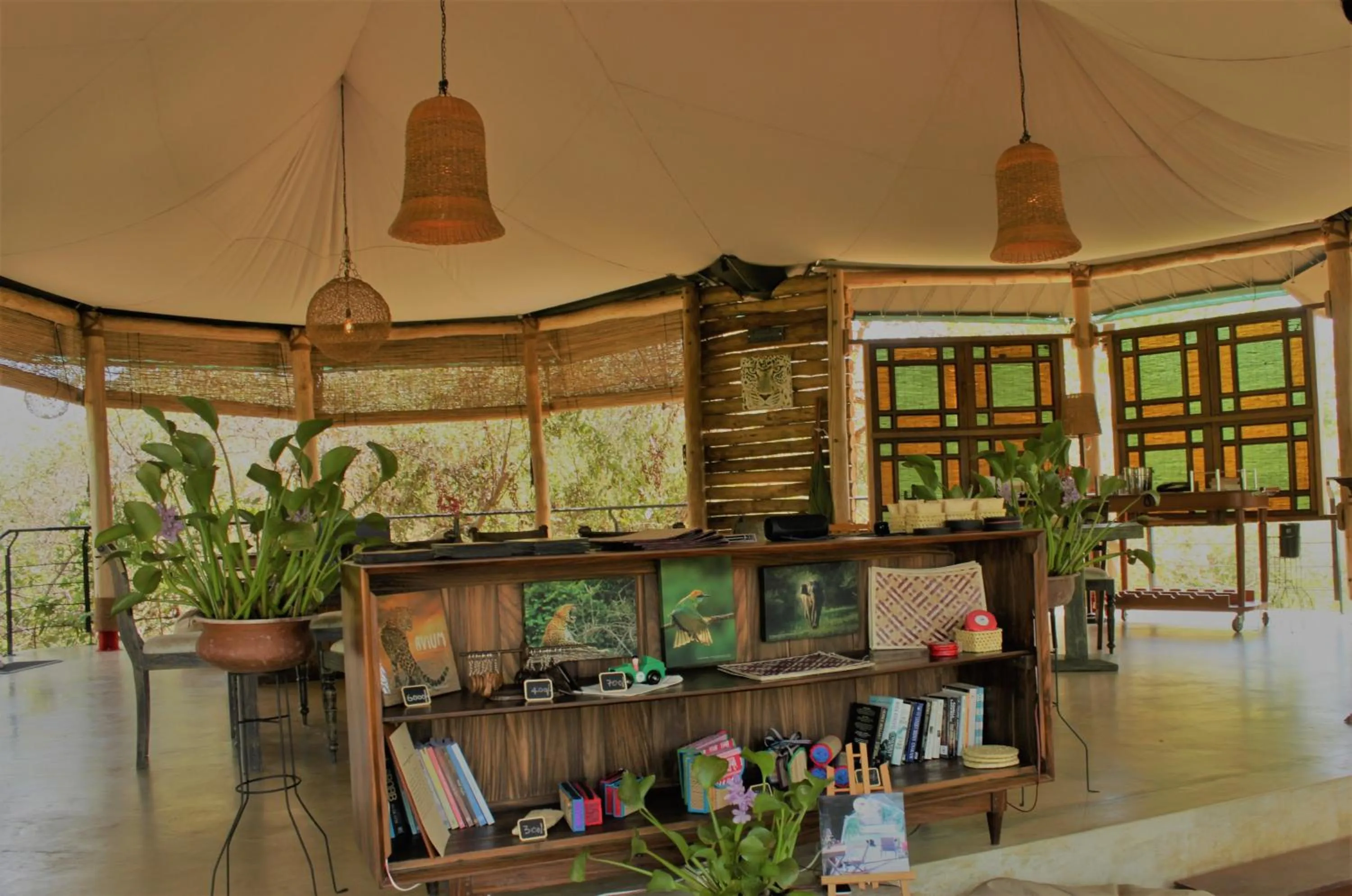 Library in Flameback Eco Lodge