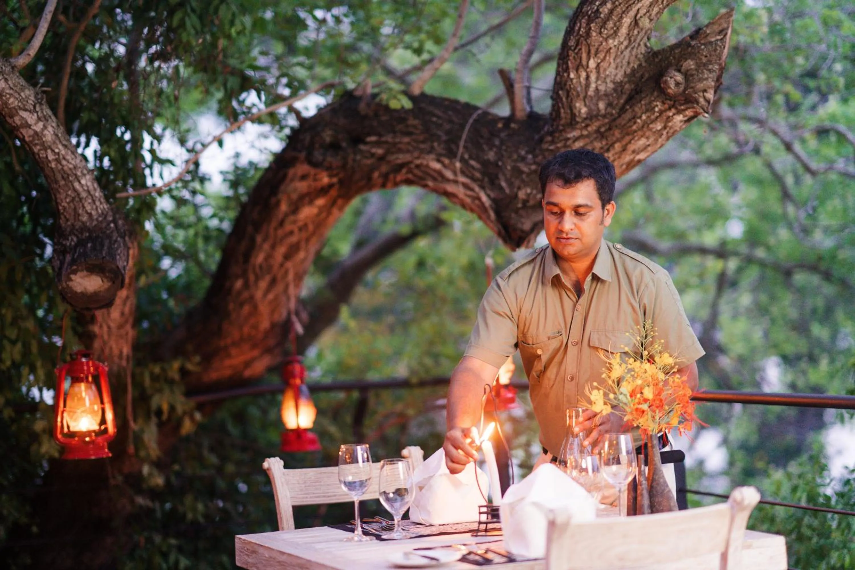 Restaurant/places to eat in Flameback Eco Lodge