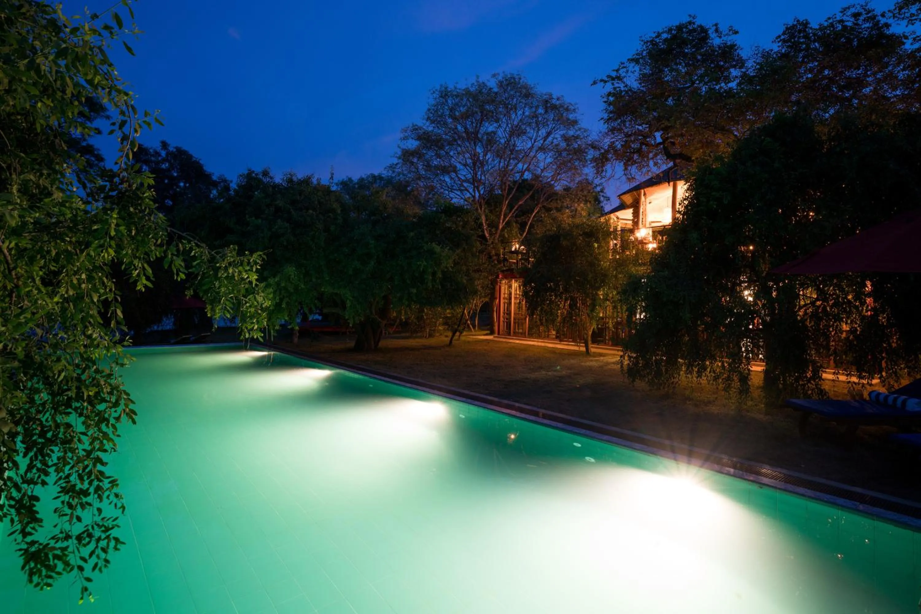 Swimming pool in Flameback Eco Lodge