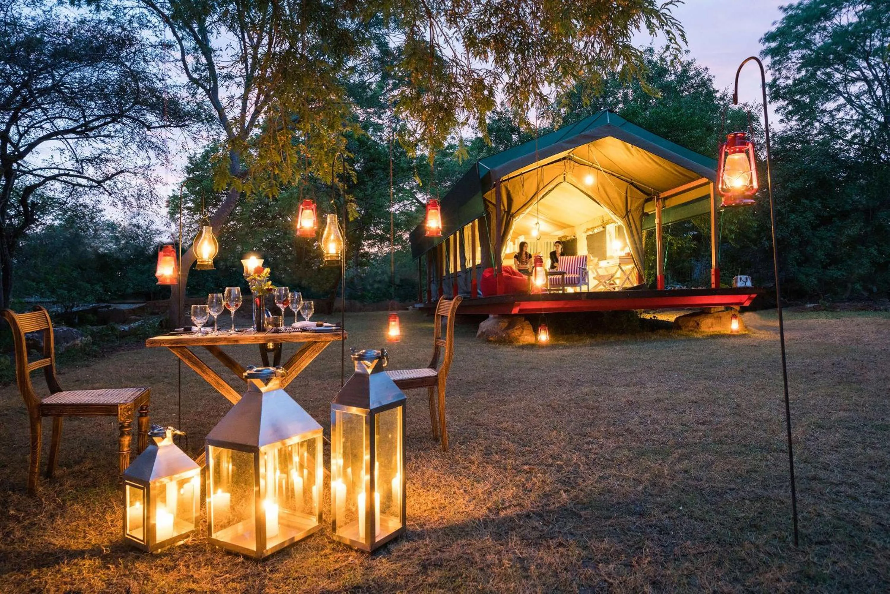 Garden view in Flameback Eco Lodge