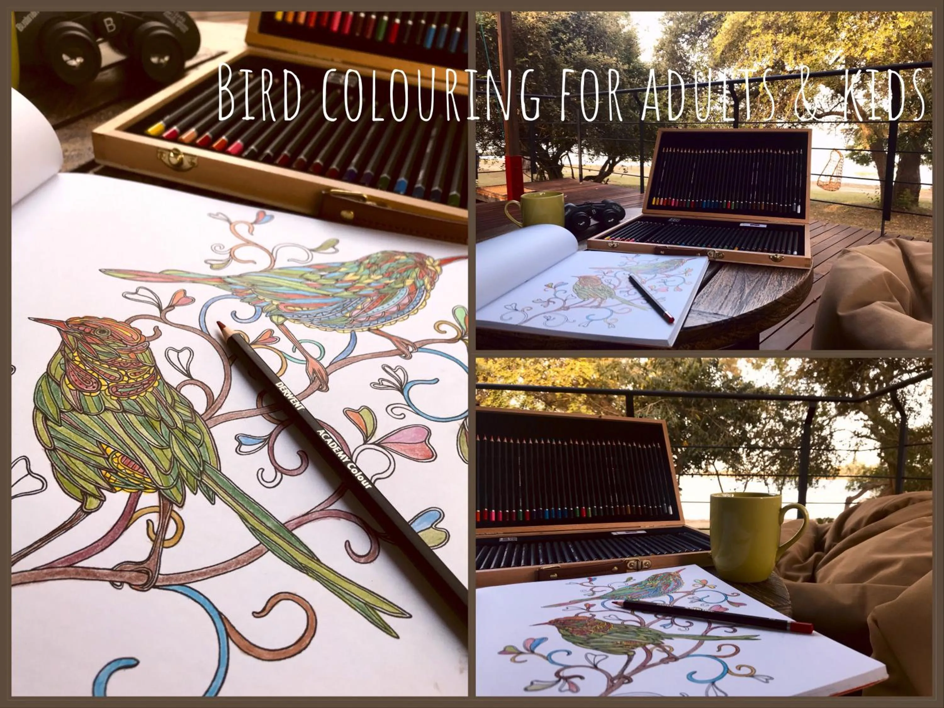 Activities in Flameback Eco Lodge