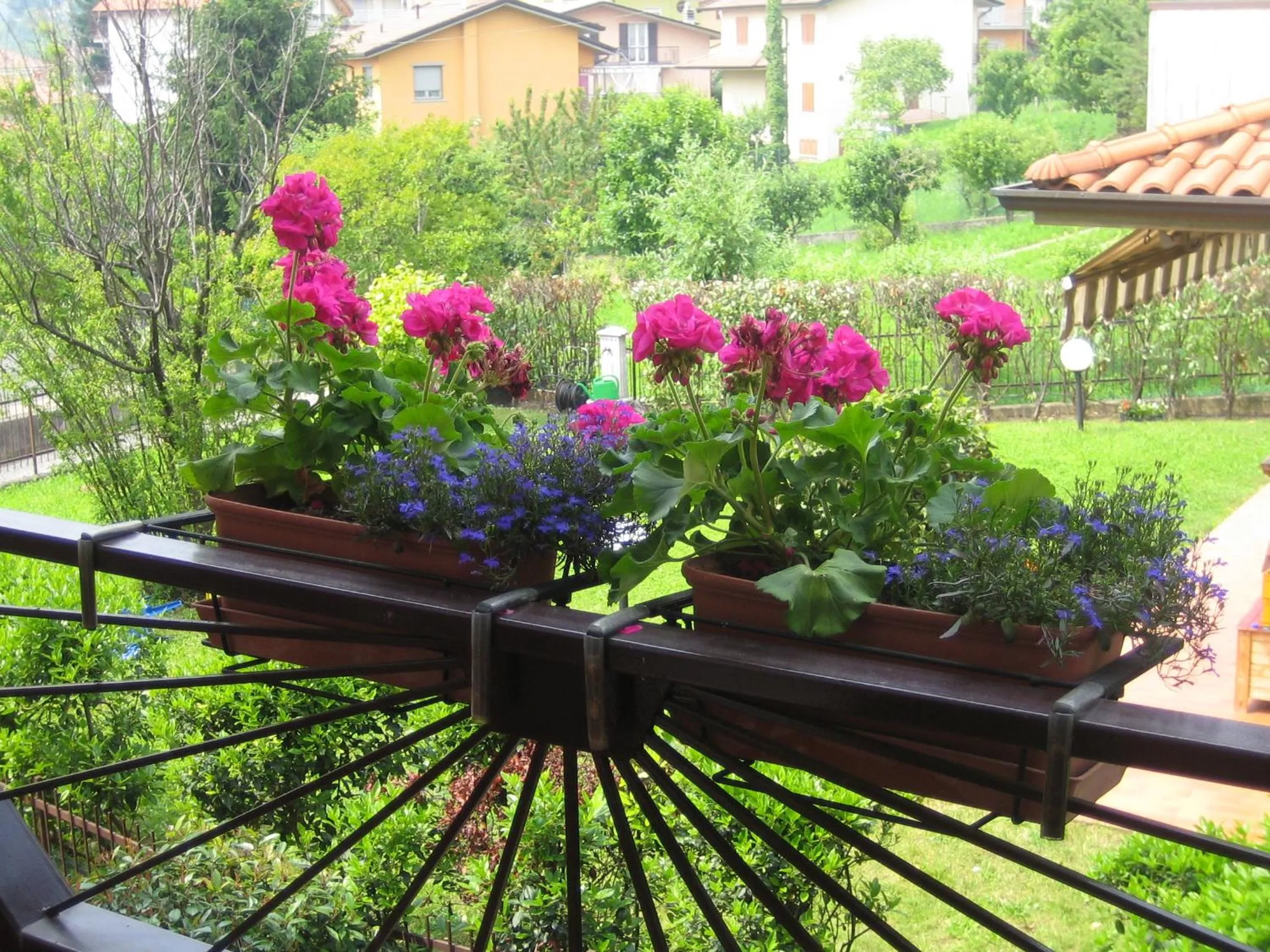Balcony/Terrace in B&B Al Calicanto