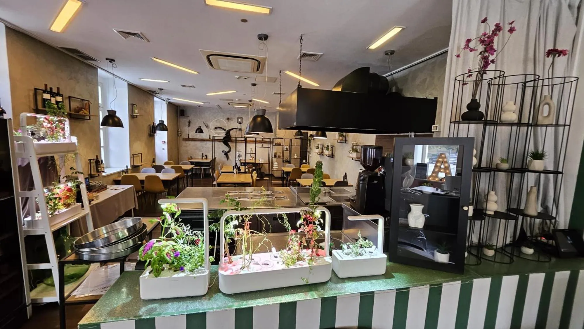 Restaurant/places to eat in Hotel Amfiteatar