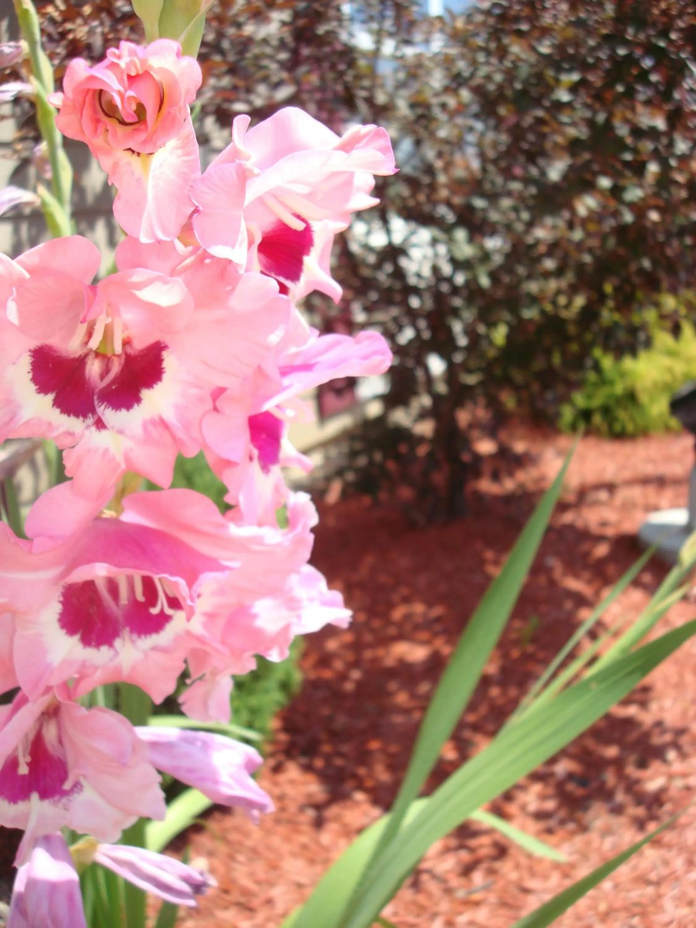 Natural landscape in Country Inn & Suites by Radisson, Carlisle, PA