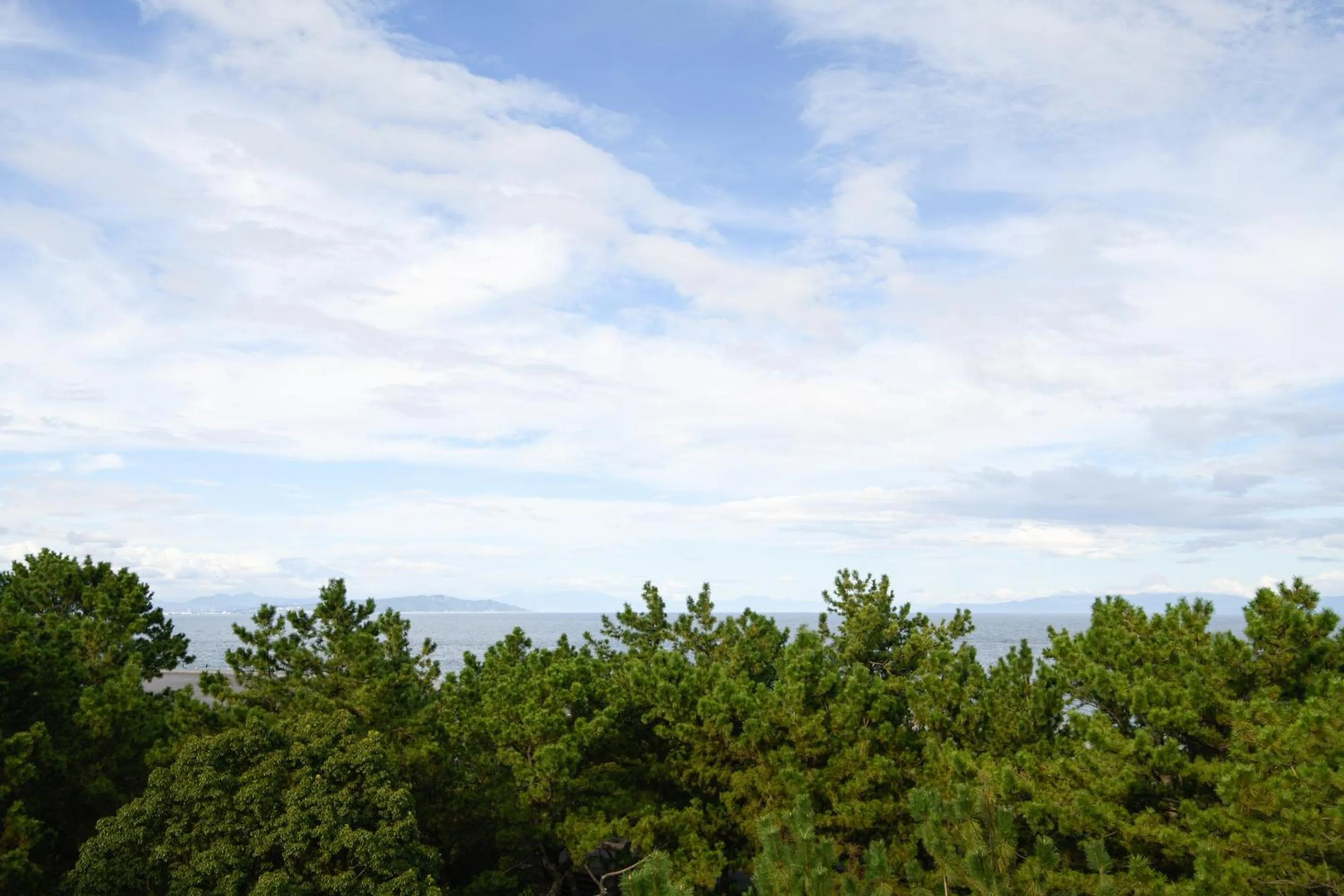 View (from property/room) in Hotel Tetora Resort Shizuoka Yaizu
