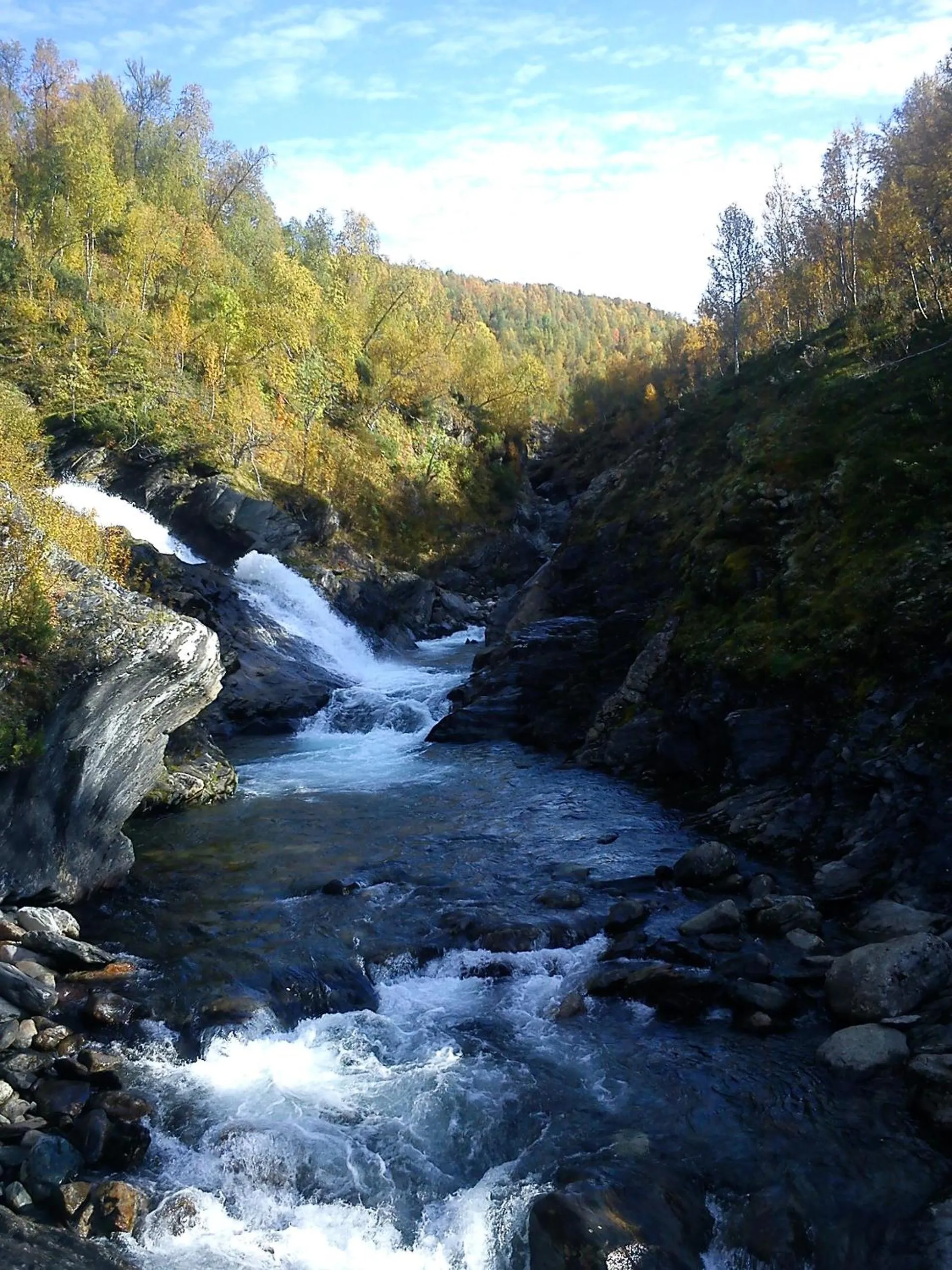 Natural landscape in Hemavans Fjällcenter