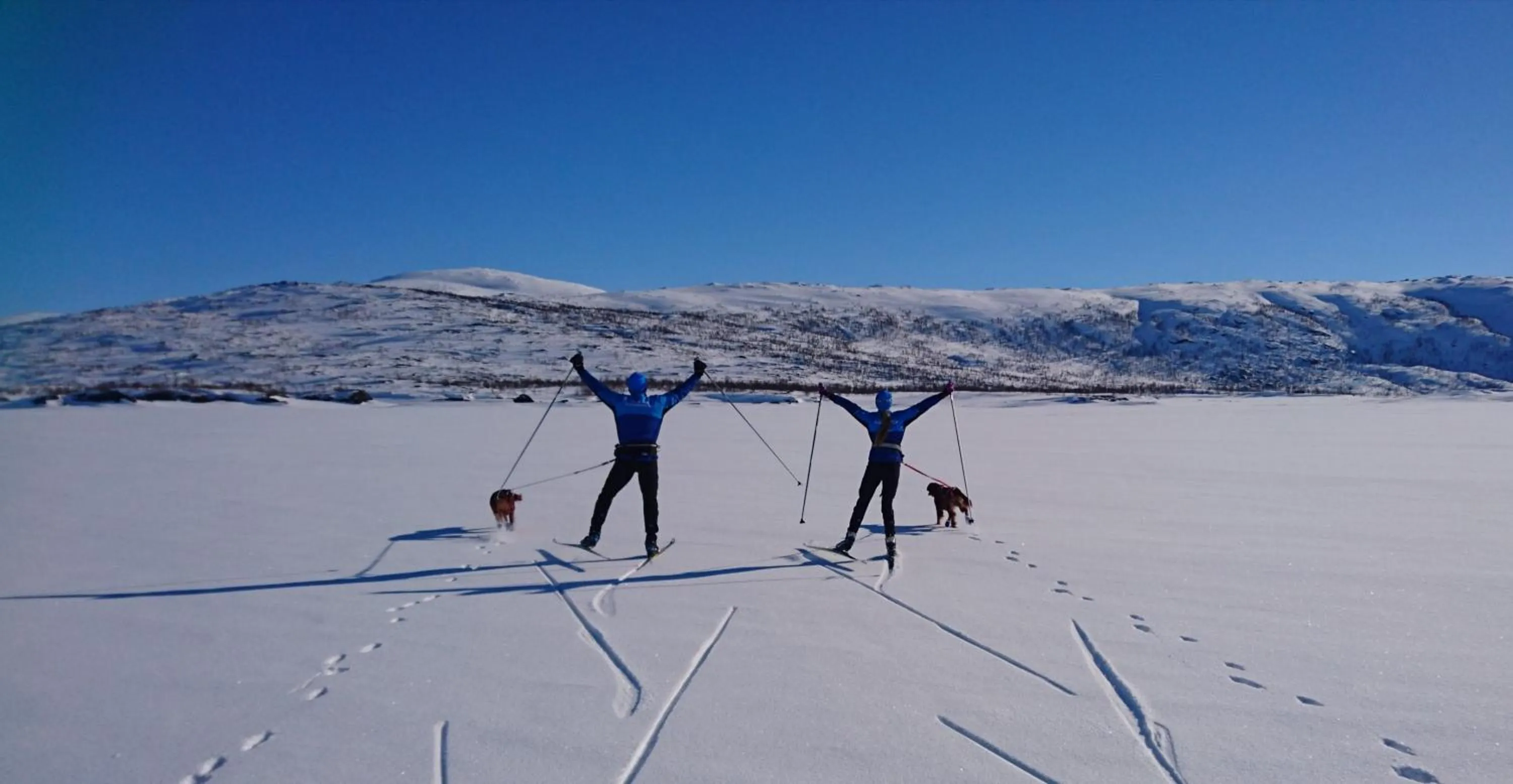 Winter in Hemavans Fjällcenter