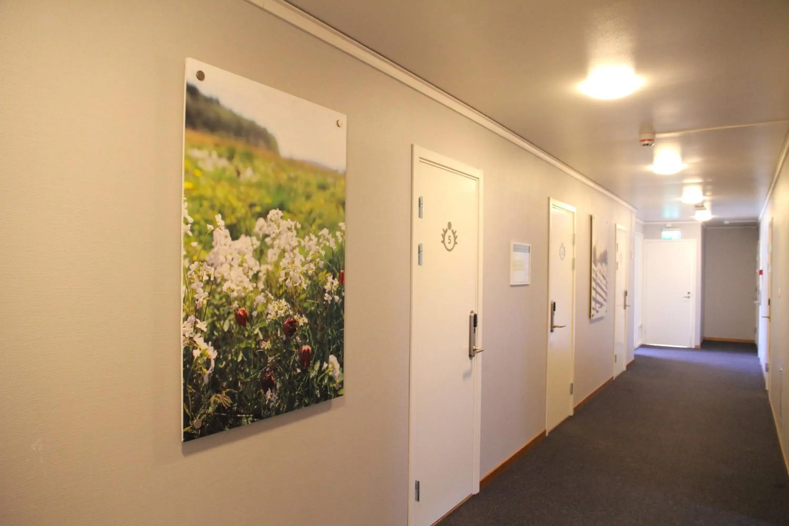 Economy Twin Room with Shared Bathroom in STF Hemavans Fjällcenter Economy Twin Room with Shared Bathroom in STF Hemavans Fjällcenter