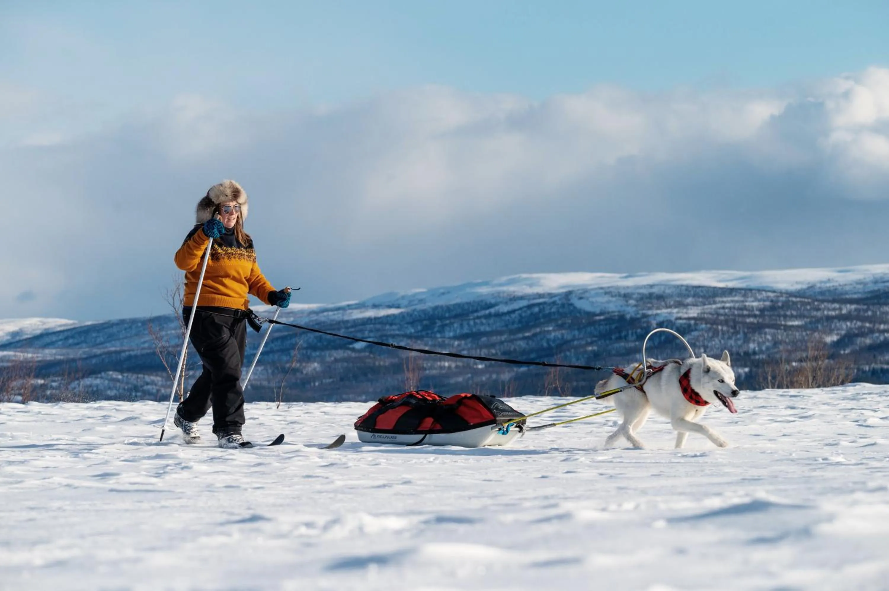 Activities in Hemavans Fjällcenter