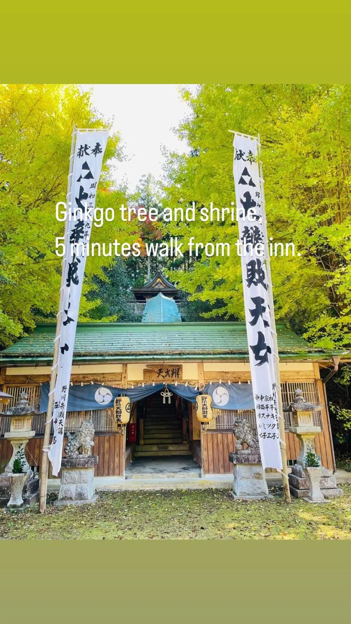 Natural landscape in Inn Unkai no Sato no Yado 民宿 雲海の里の宿