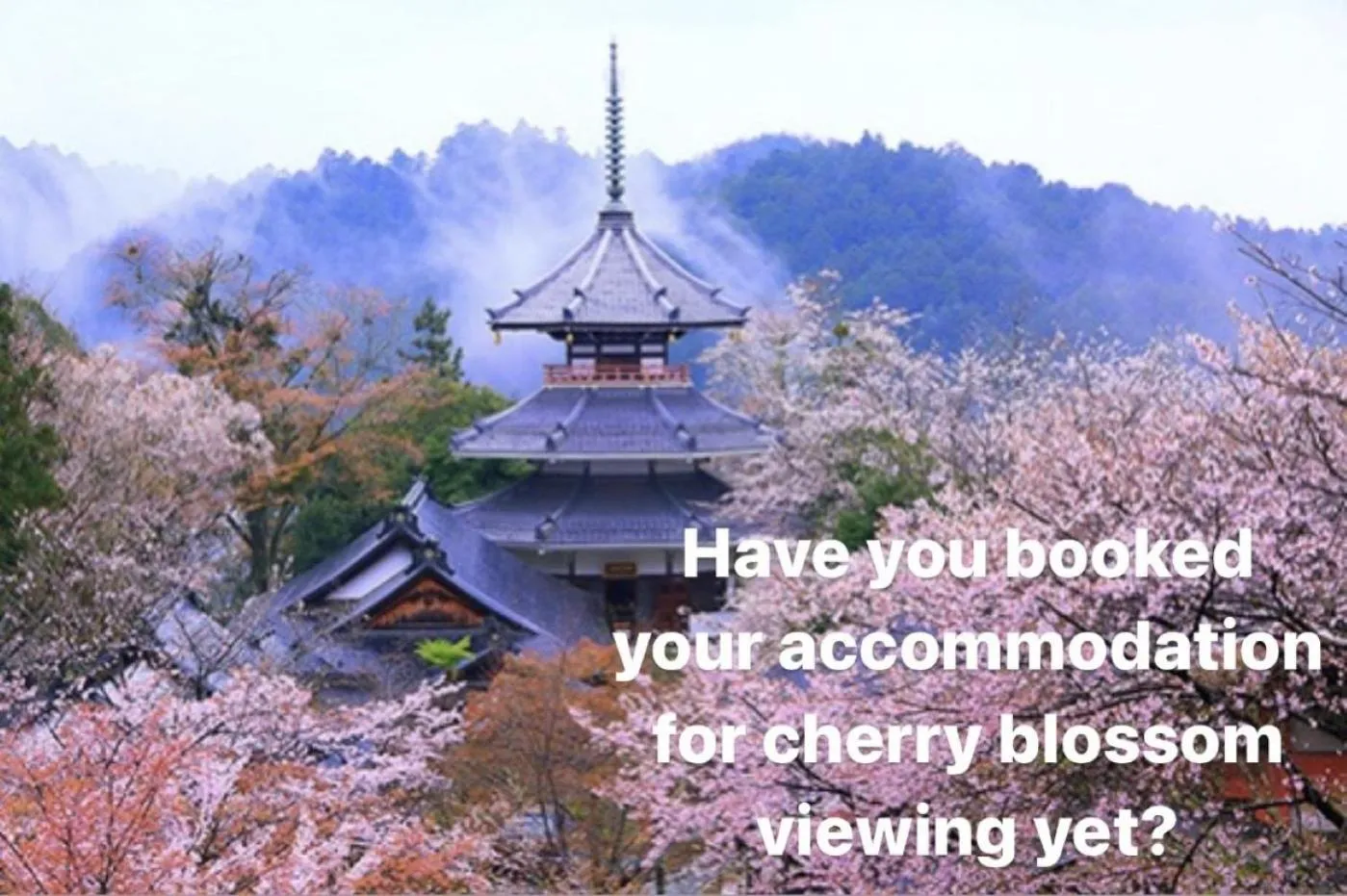 Natural landscape in Inn Unkai no Sato no Yado 民宿 雲海の里の宿