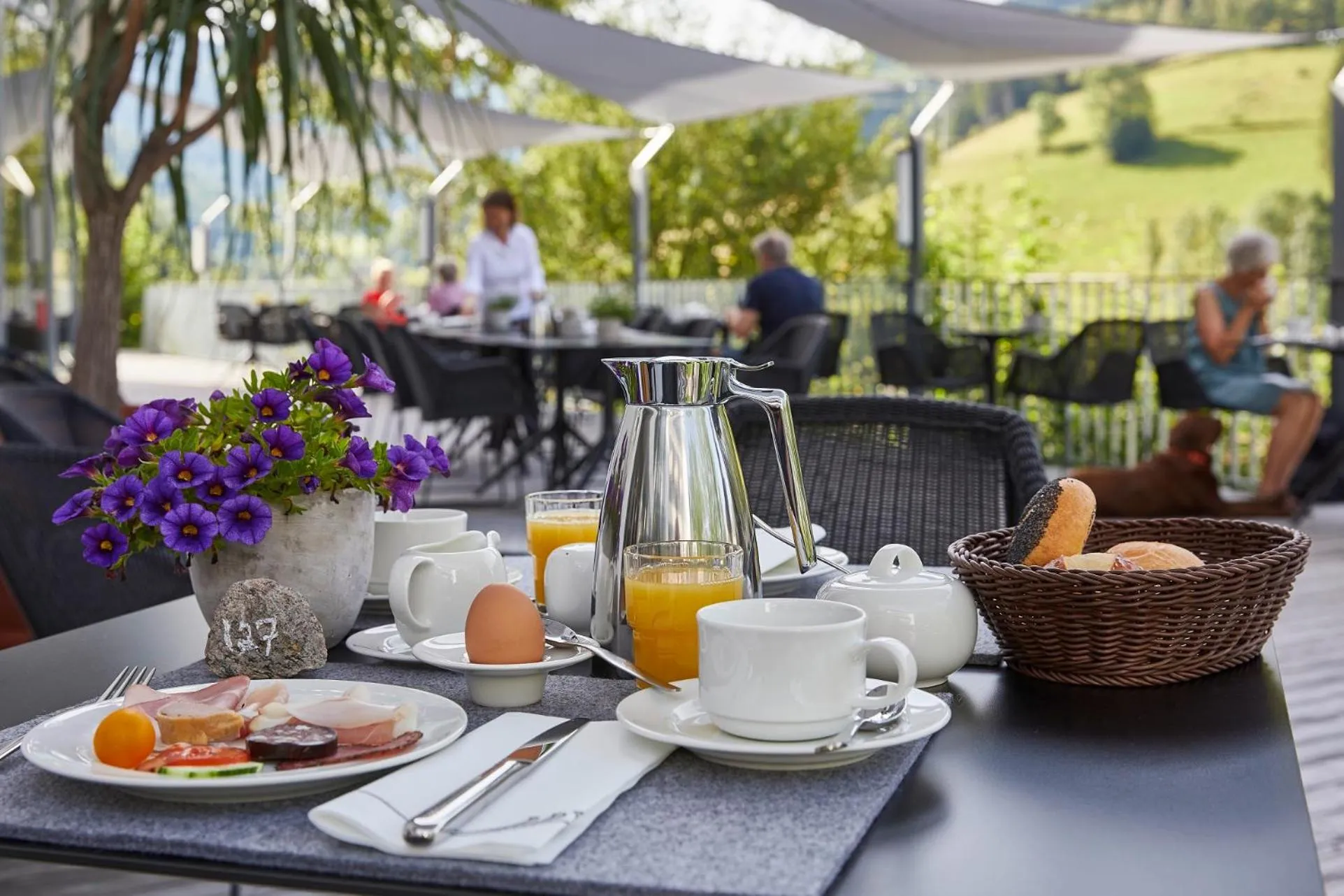 Balcony/Terrace in ElzLand Hotel Pfauen WELLNESS & SPA