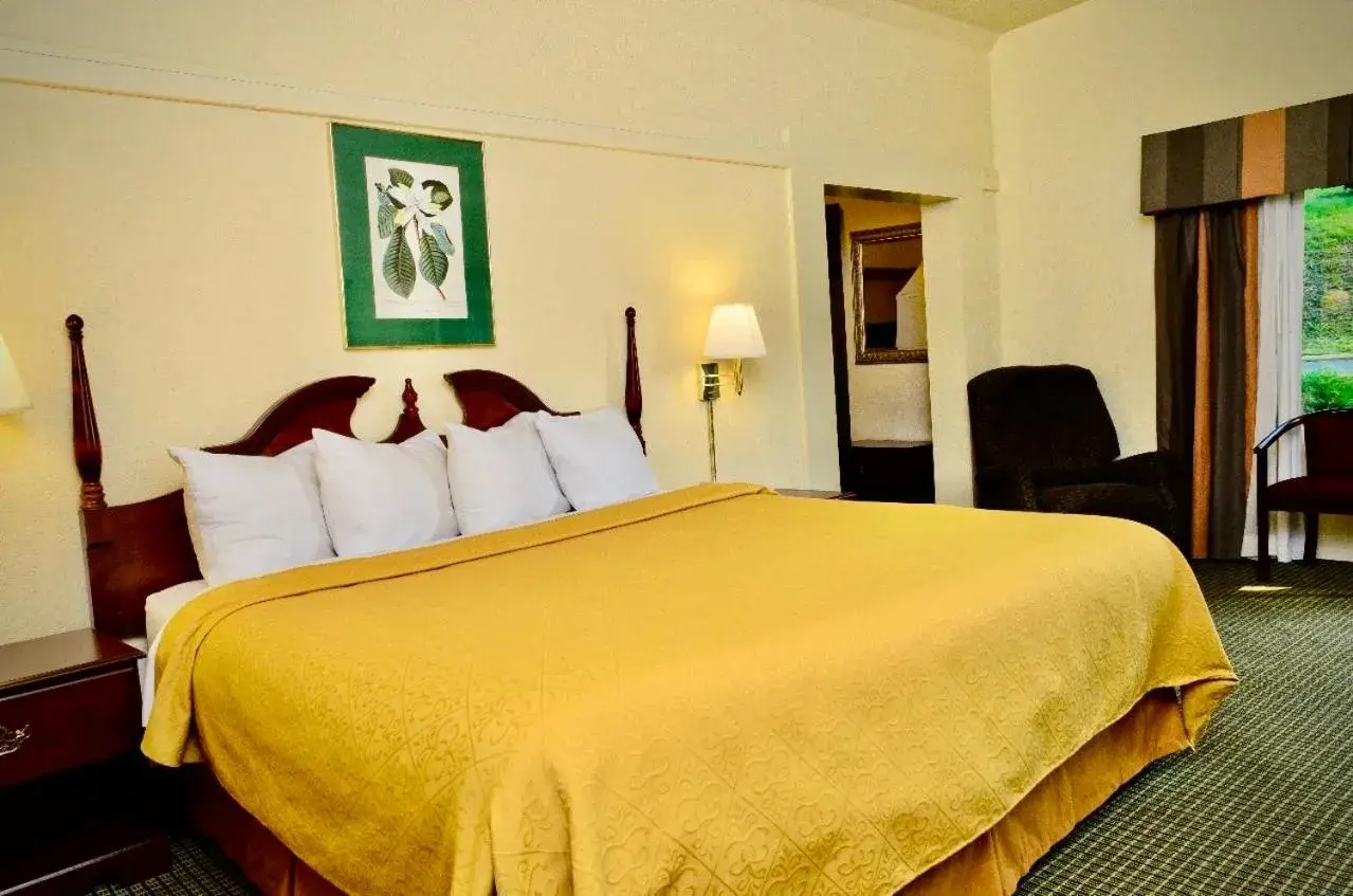 Photo of the whole room, Bed in Hotel M Morgantown - WVU Area Photo of the whole room, Bed in Hotel M Morgantown - WVU Area