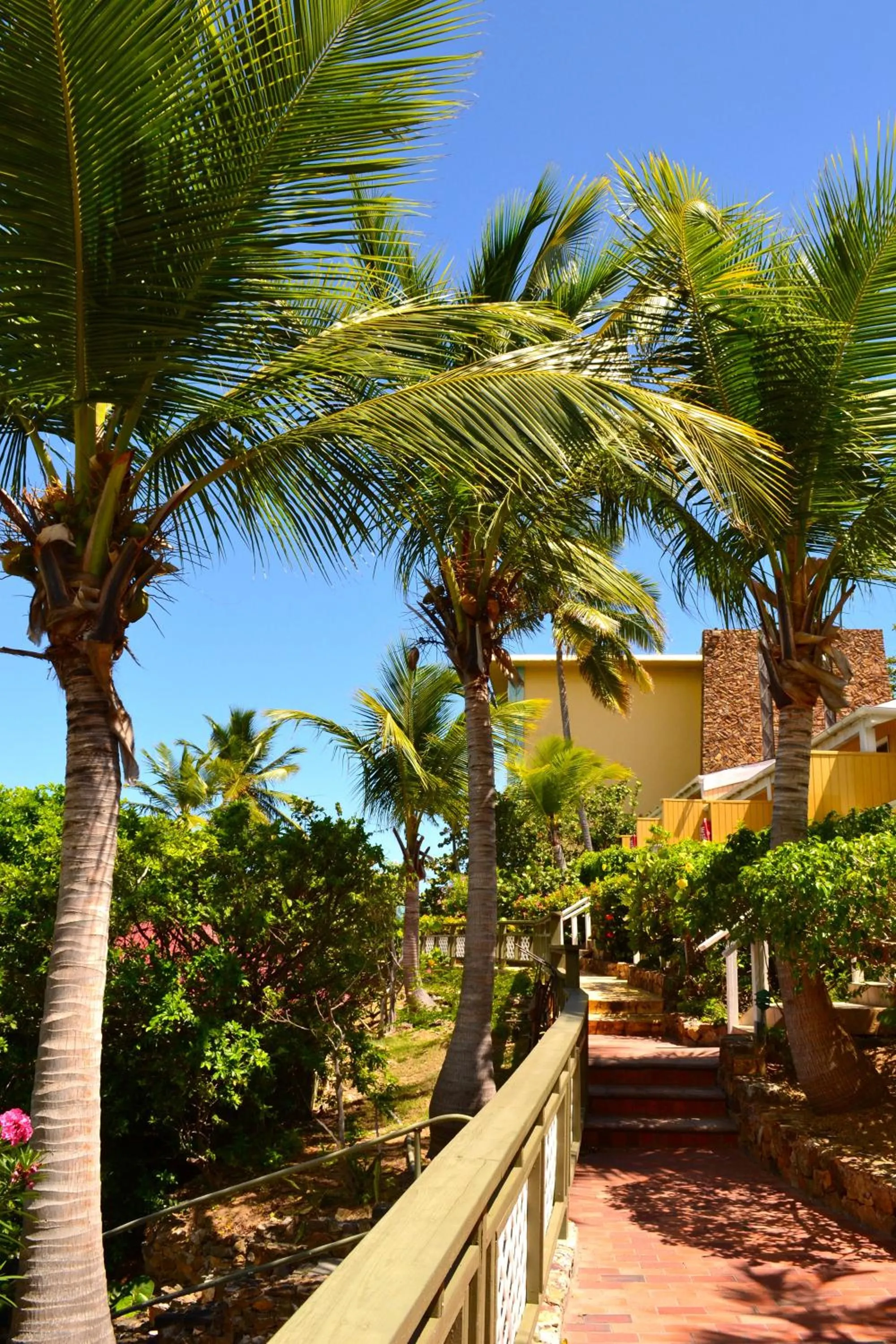 Balcony/Terrace in Lindbergh Bay Hotel